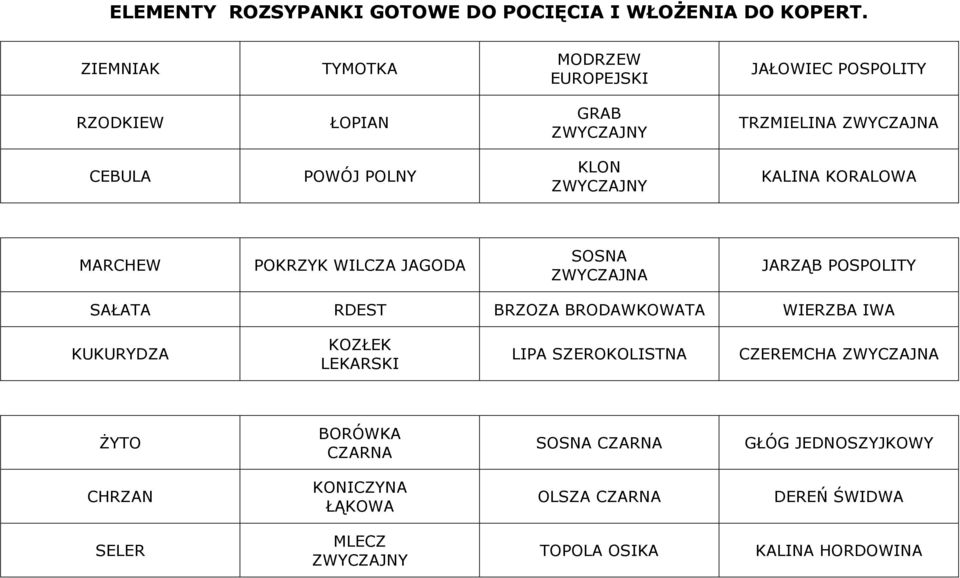 KORALOWA MARCHEW POKRZYK WILCZA JAGODA SOSNA ZWYCZAJNA JARZĄB POSPOLITY SAŁATA RDEST BRZOZA BRODAWKOWATA WIERZBA IWA KUKURYDZA