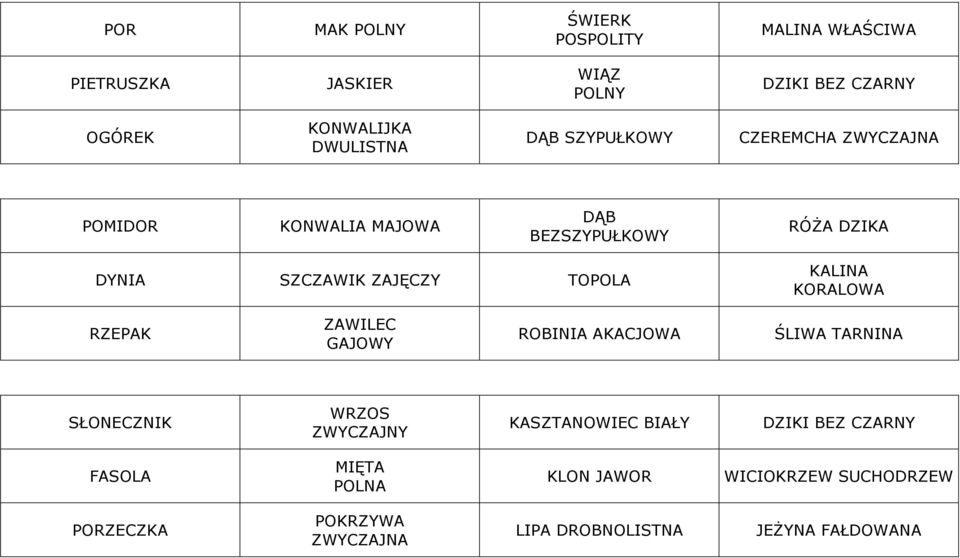 ZAJĘCZY TOPOLA KALINA KORALOWA RZEPAK ZAWILEC GAJOWY ROBINIA AKACJOWA ŚLIWA TARNINA SŁONECZNIK WRZOS KASZTANOWIEC BIAŁY