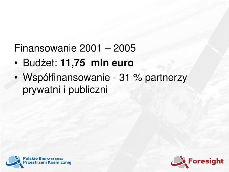 Współfinansowanie - 31 %