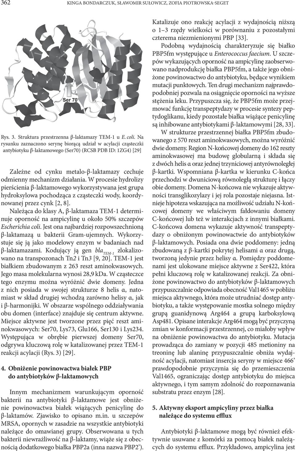W procesie hydrolizy pierścienia β-laktamowego wykorzystywana jest grupa hydroksylowa pochodząca z cząsteczki wody, koordynowanej przez cynk [2, 8].