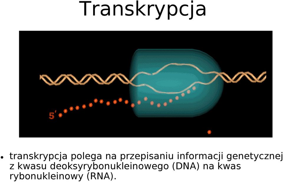 genetycznej z kwasu