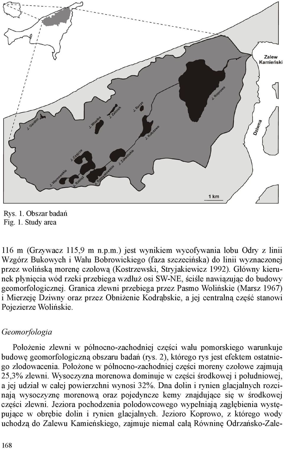 n.p.m.) jest wynikiem wycofywania lobu Odry z linii Wzgórz Bukowych i Wału Bobrowickiego (faza szczecińska) do linii wyznaczonej przez wolińską morenę czołową (Kostrzewski, Stryjakiewicz 1992).