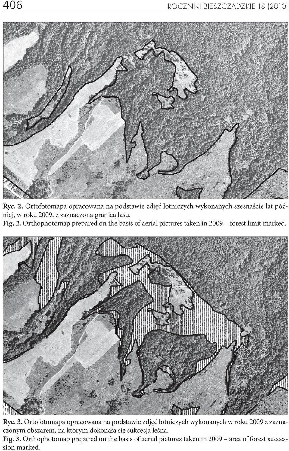 2. Orthophotomap prepared on the basis of aerial pictures taken in 2009 forest limit marked. Ryc. 3.