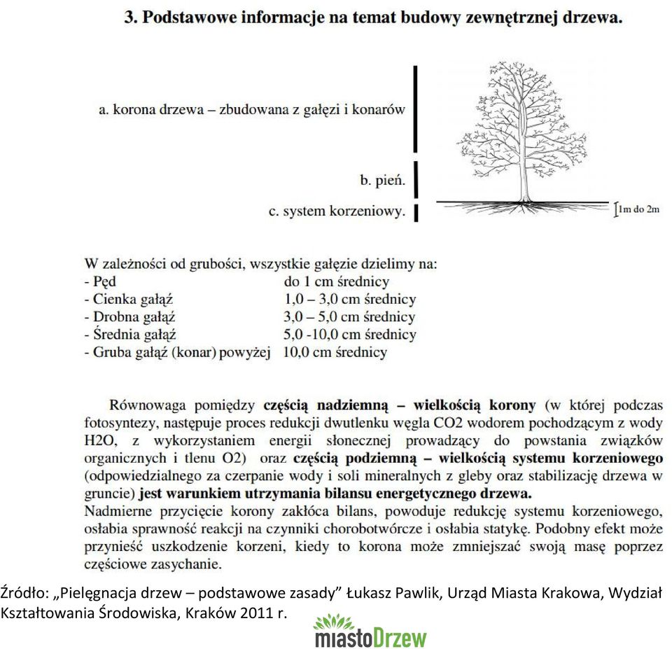 Urząd Miasta Krakowa, Wydział