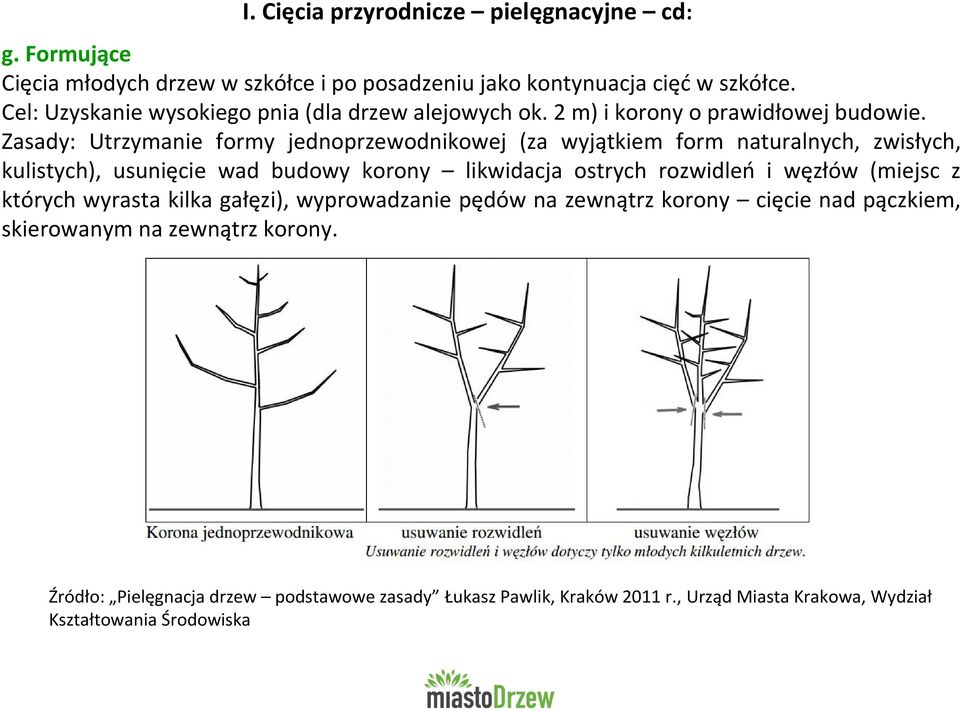 Zasady: Utrzymanie formy jednoprzewodnikowej (za wyjątkiem form naturalnych, zwisłych, kulistych), usunięcie wad budowy korony likwidacja ostrych rozwidleń i