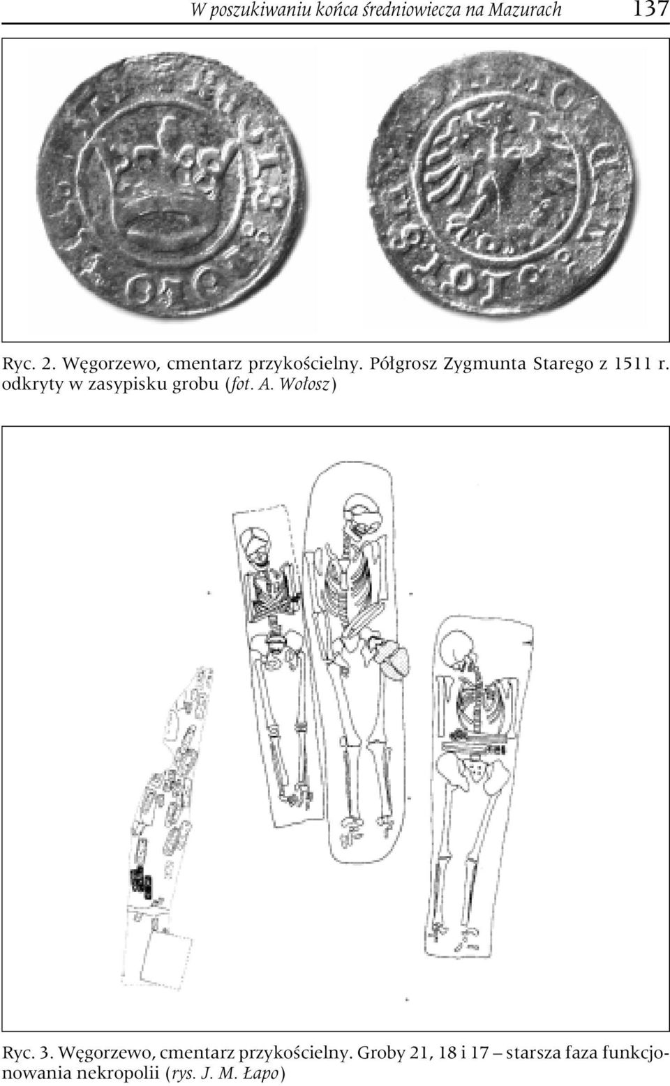 odkryty w zasypisku grobu (fot. A. Wołosz) Ryc. 3.