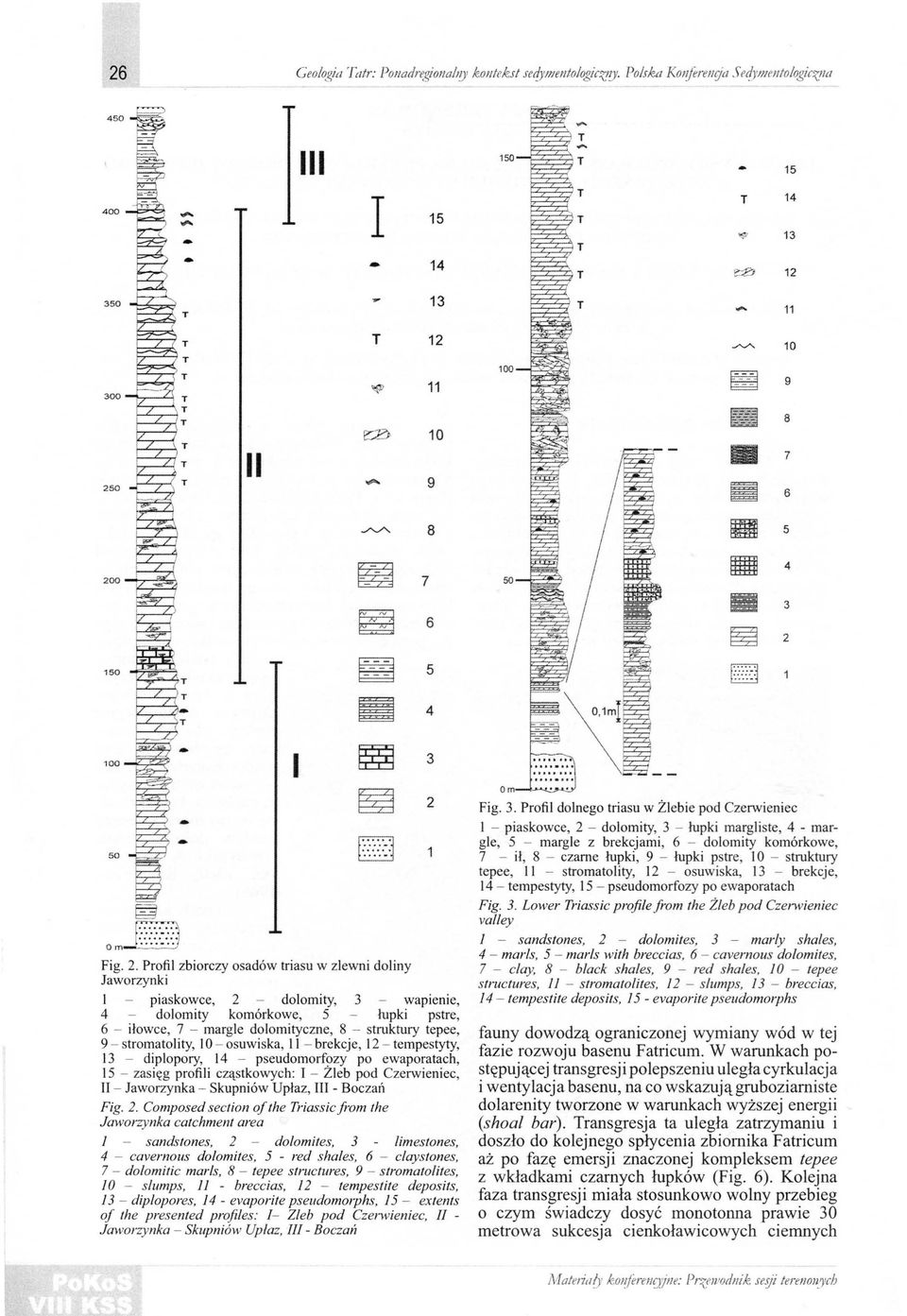 . Profil zbiorczy osadów triasu w zlewni doliny Jaworzynki l piaskowce, dolomity, 3 wapienie, 4 dolomity komórkowe, 5 łupki pstre, 6 - iłowce, 7 - margle dolomityczne, 8 - stmktury tepee, 9 -