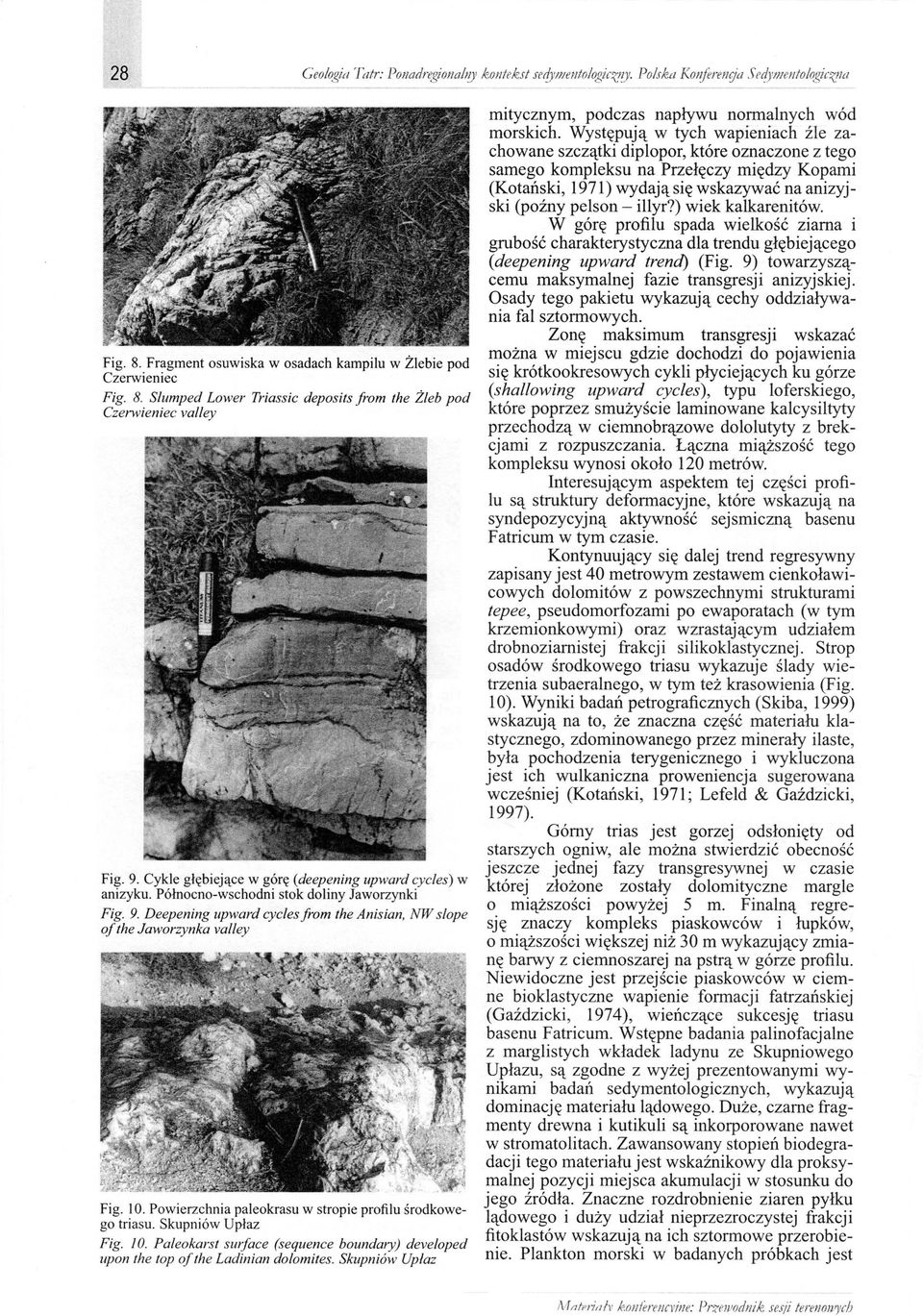 10. Powierzchnia paleokrasu w stropie profilu środkowego triasu. Skupniów Upłaz Fig. 10. Paleokarst swface (sequence boundary) developed upon the top ofthe Ladinian dolomites.