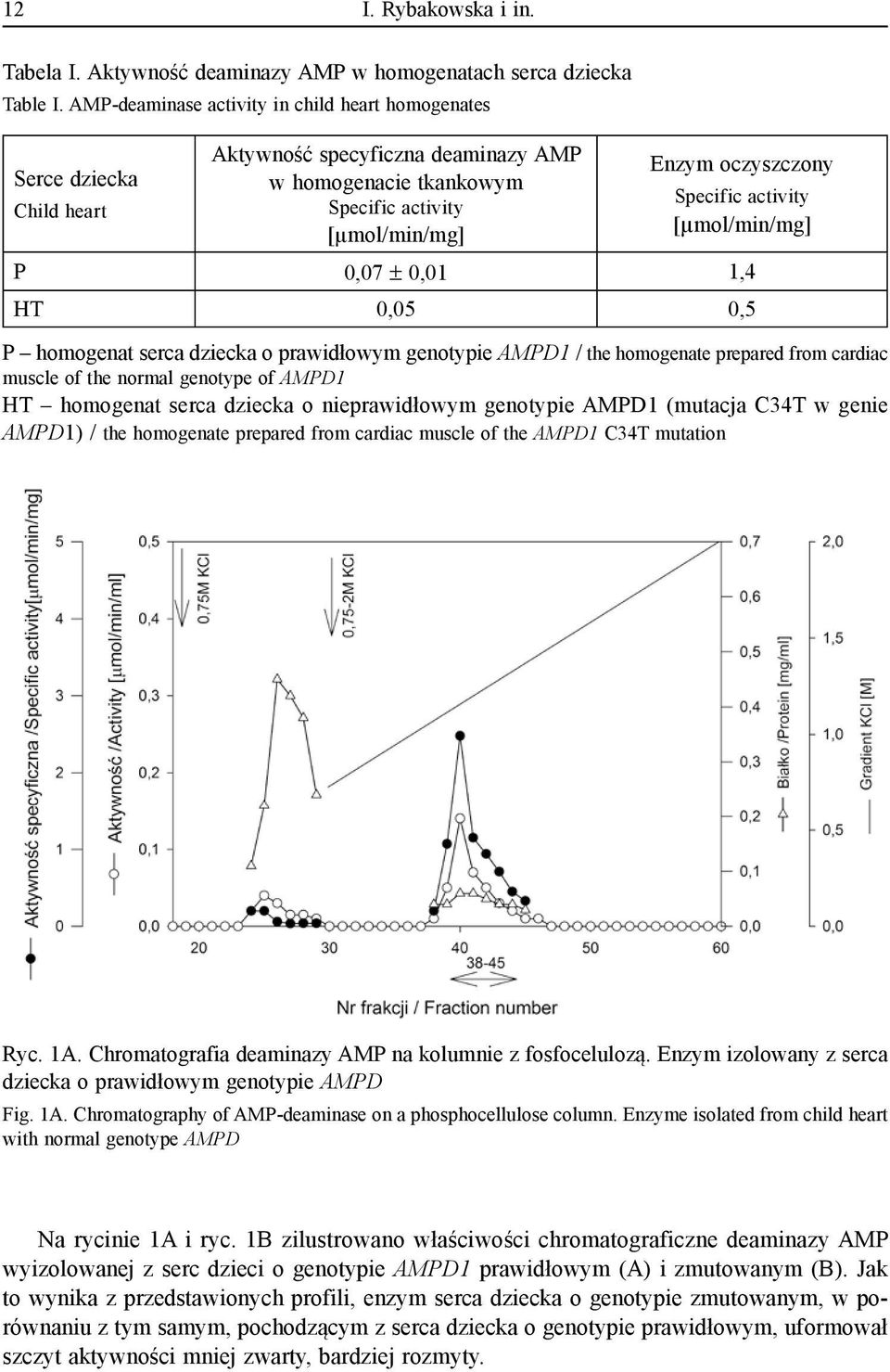 activity [µmol/min/mg] P 0,07 ± 0,01 1,4 HT 0,05 0,5 P homogenat serca dziecka o prawidłowym genotypie AMPD1 / the homogenate prepared from cardiac muscle of the normal genotype of AMPD1 HT homogenat