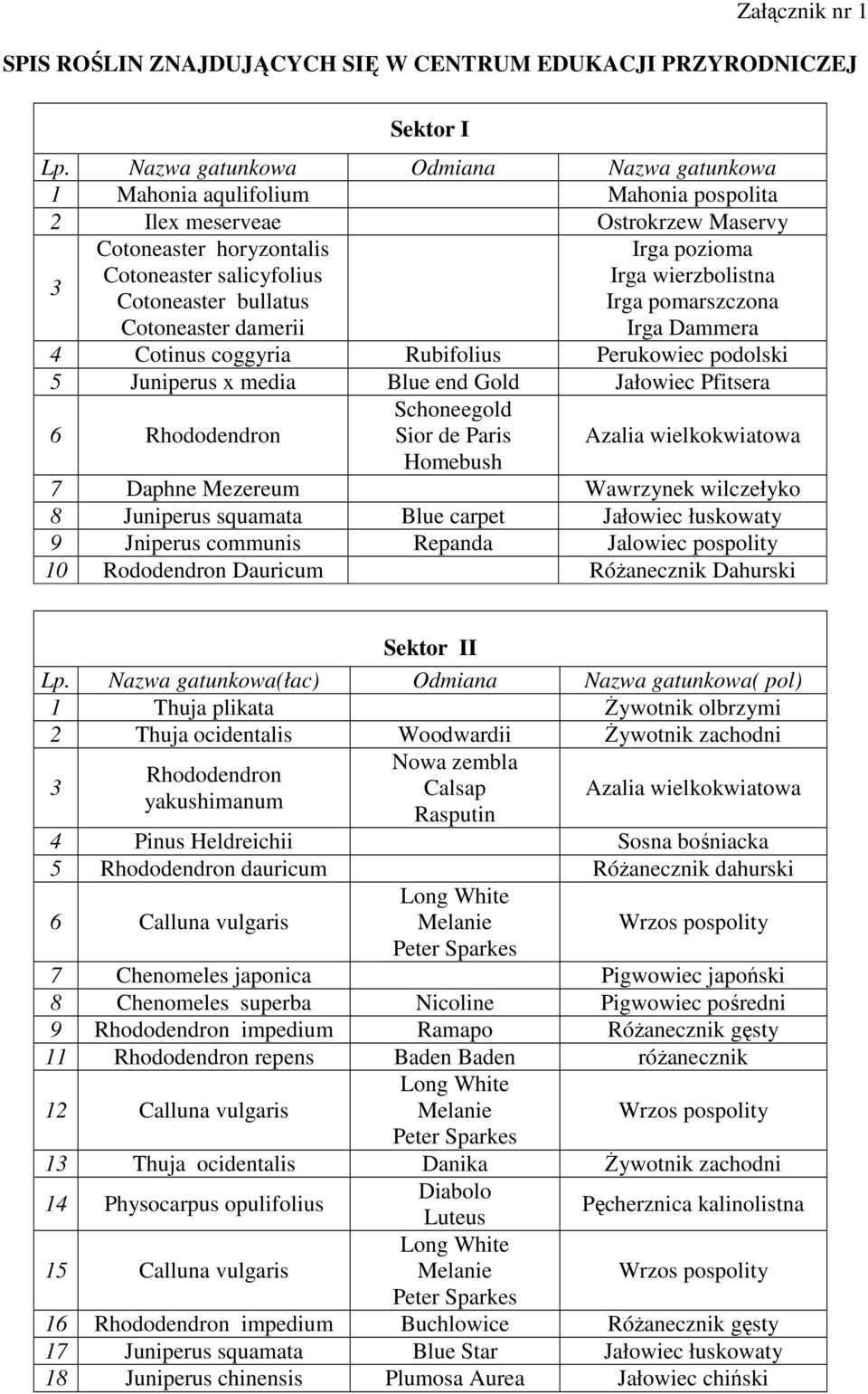 Gold Jałowiec Pfitsera 6 Rhododendron Schoneegold Sior de Paris Azalia wielkokwiatowa Homebush 7 Daphne Mezereum Wawrzynek wilczełyko 8 Juniperus squamata Blue carpet Jałowiec łuskowaty 9 Jniperus