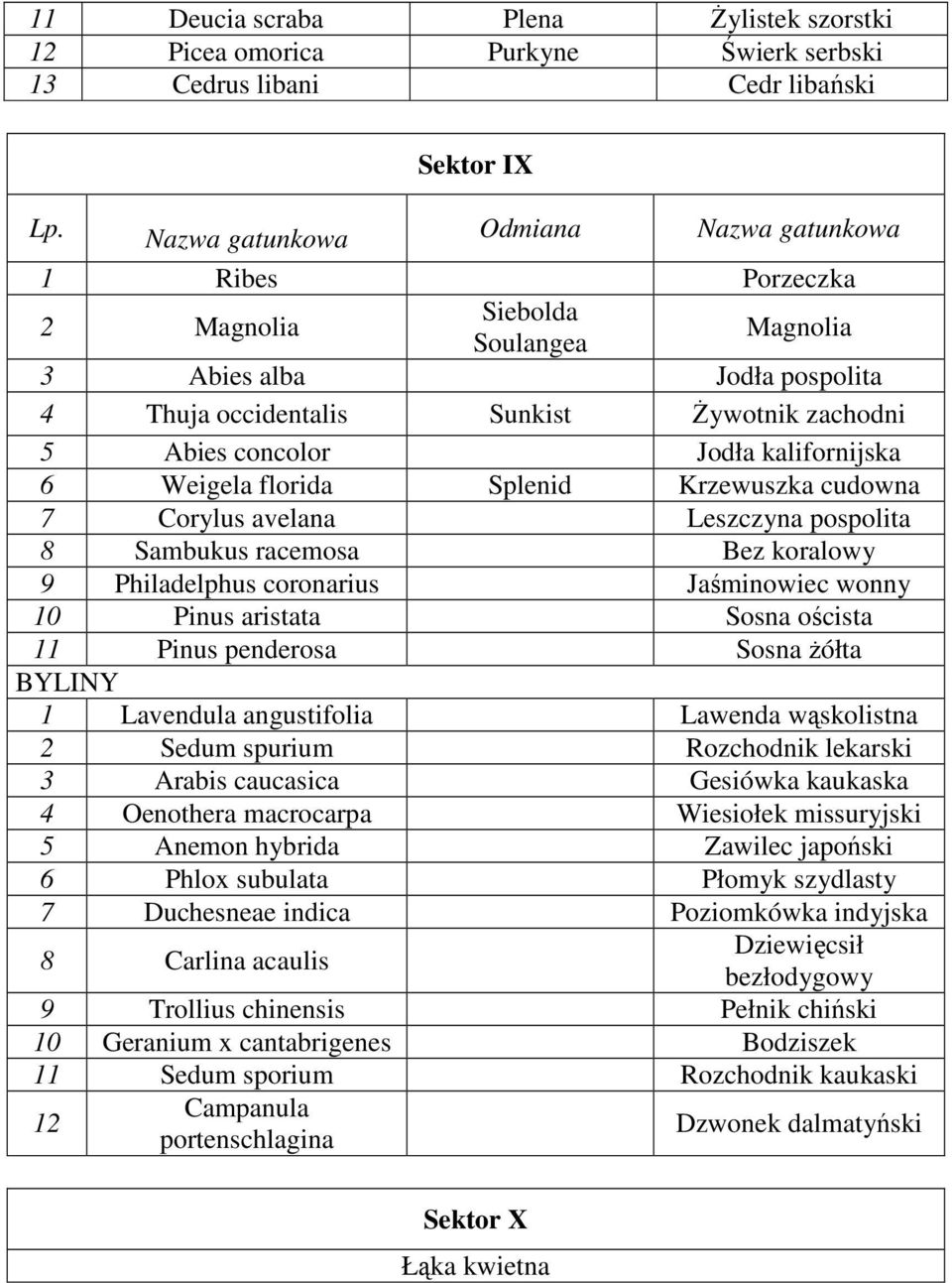 Bez koralowy 9 Philadelphus coronarius Jaśminowiec wonny 10 Pinus aristata Sosna oścista 11 Pinus penderosa Sosna żółta BYLINY 1 Lavendula angustifolia Lawenda wąskolistna 2 Sedum spurium Rozchodnik