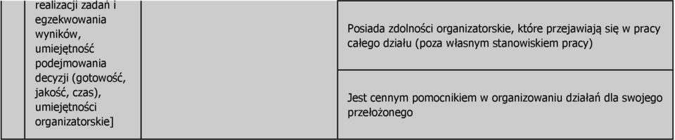 organizatorskie, które przejawiają się w pracy całego działu (poza własnym