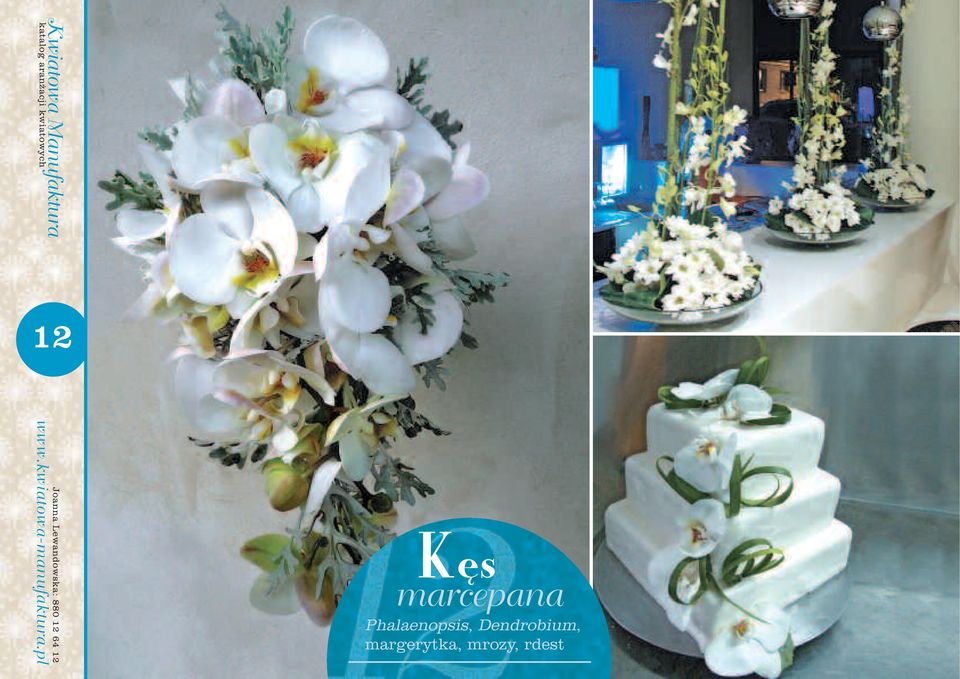Dendrobium,