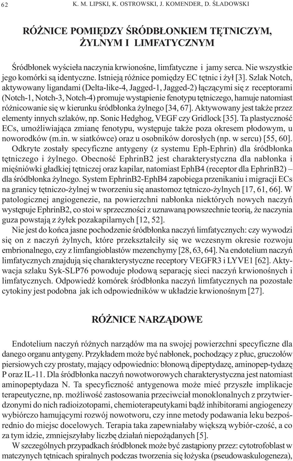 Szlak Notch, aktywowany ligandami (Delta-like-4, Jagged-1, Jagged-2) ³¹cz¹cymi siê z receptorami (Notch-1, Notch-3, Notch-4) promuje wyst¹pienie fenotypu têtniczego, hamuje natomiast ró nicowanie siê