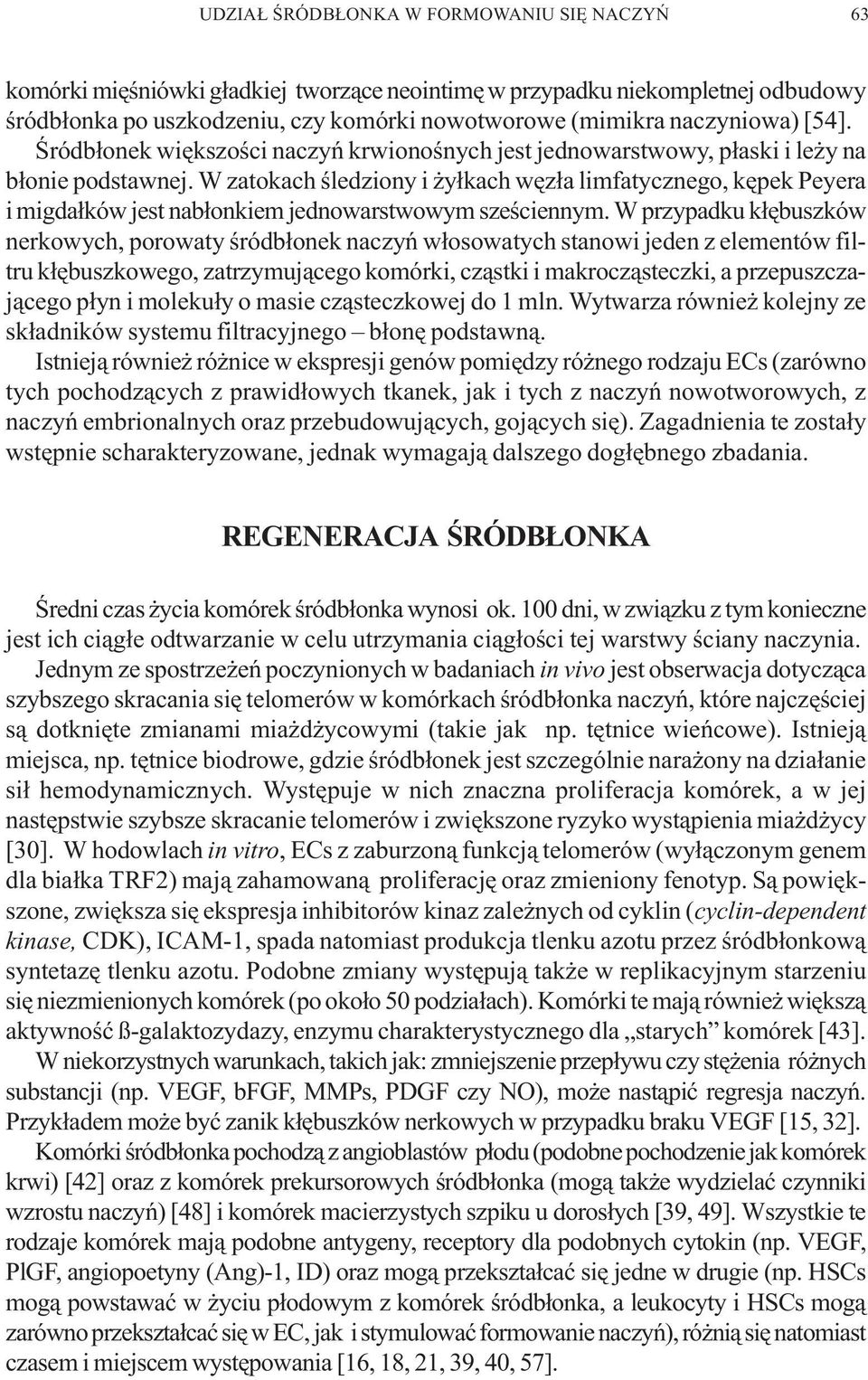 W zatokach œledziony i y³kach wêz³a limfatycznego, kêpek Peyera i migda³ków jest nab³onkiem jednowarstwowym szeœciennym.