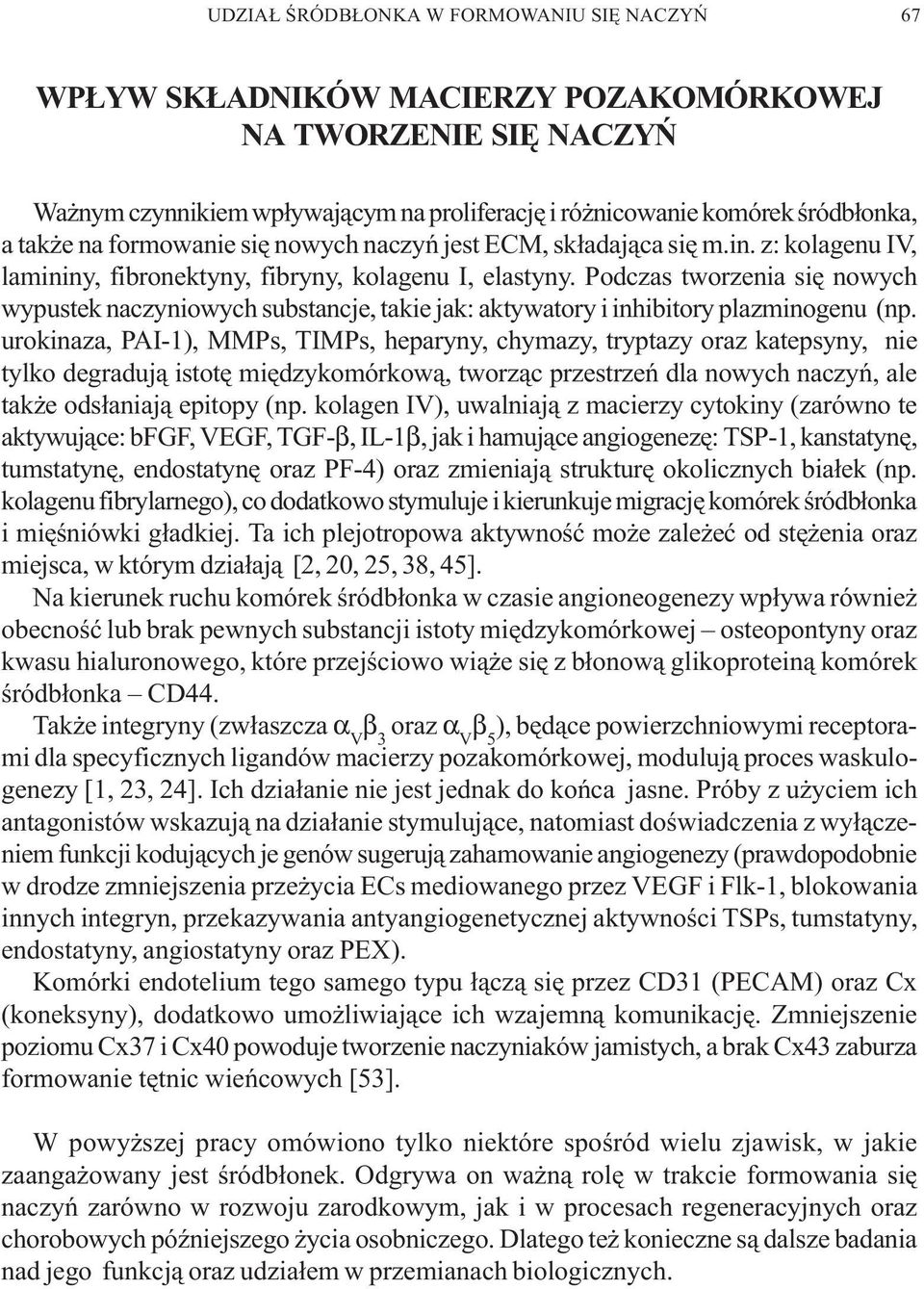 Podczas tworzenia siê nowych wypustek naczyniowych substancje, takie jak: aktywatory i inhibitory plazminogenu (np.