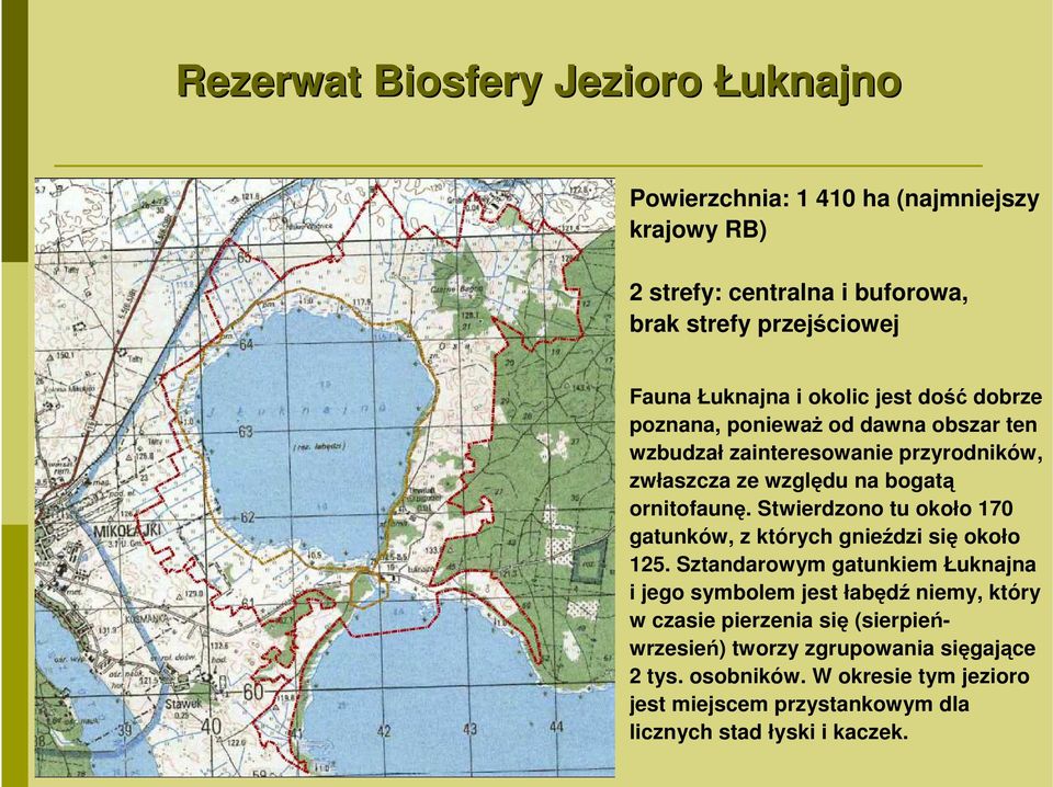 ornitofaunę. Stwierdzono tu około 170 gatunków, z których gnieździ się około 125.