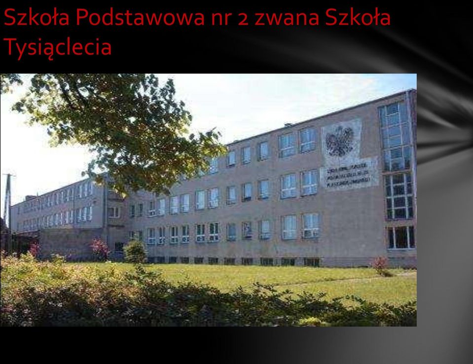 nr 2 zwana 