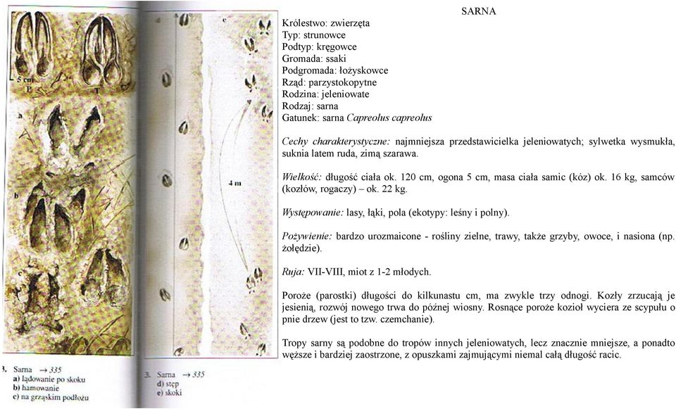 16 kg, samców (kozłów, rogaczy) ok. 22 kg. Występowanie: lasy, łąki, pola (ekotypy: leśny i polny). Pożywienie: bardzo urozmaicone - rośliny zielne, trawy, także grzyby, owoce, i nasiona (np.