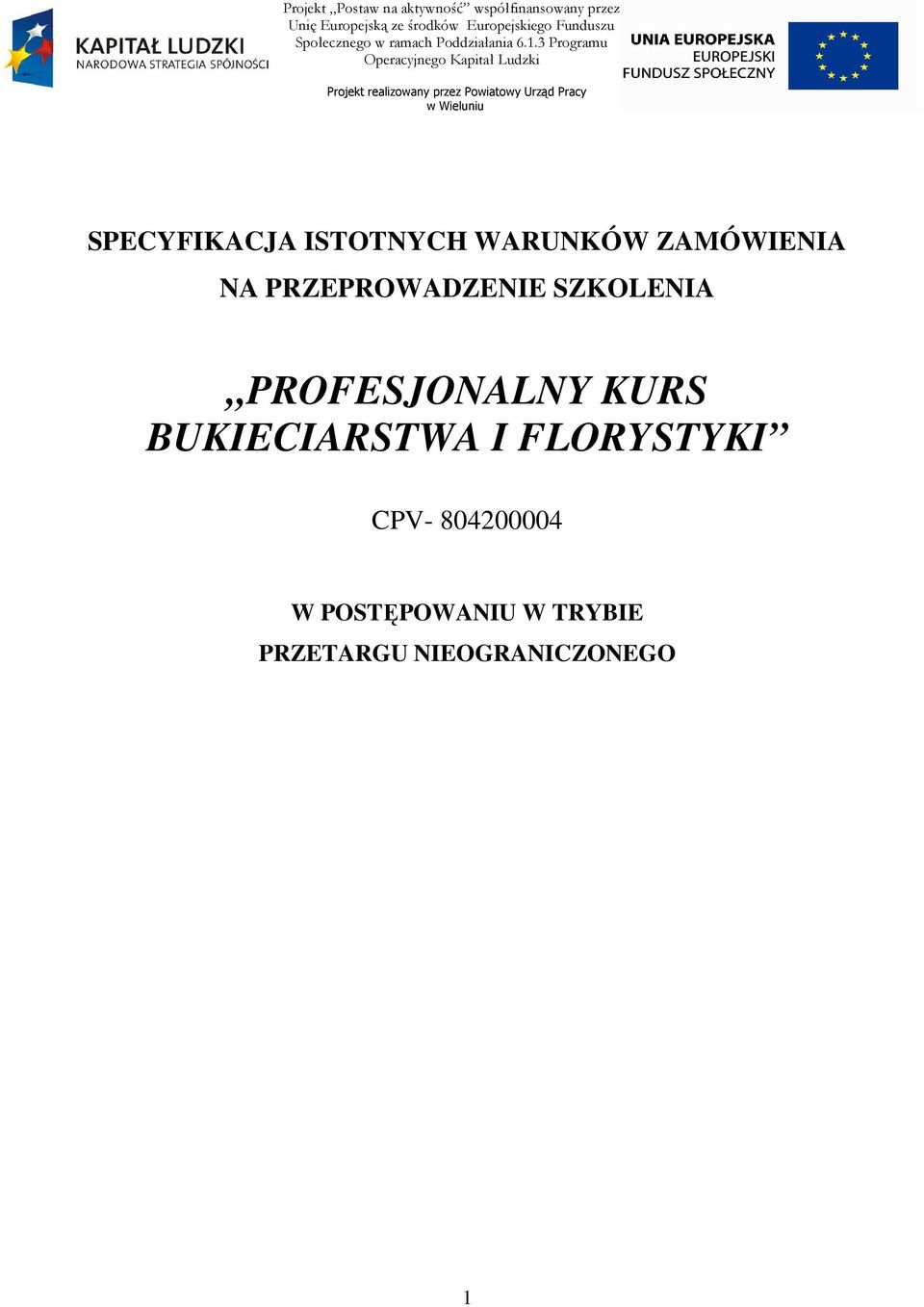 3 Programu Operacyjnego Kapitał Ludzki Projekt realizowany przez Powiatowy Urząd Pracy w Wieluniu