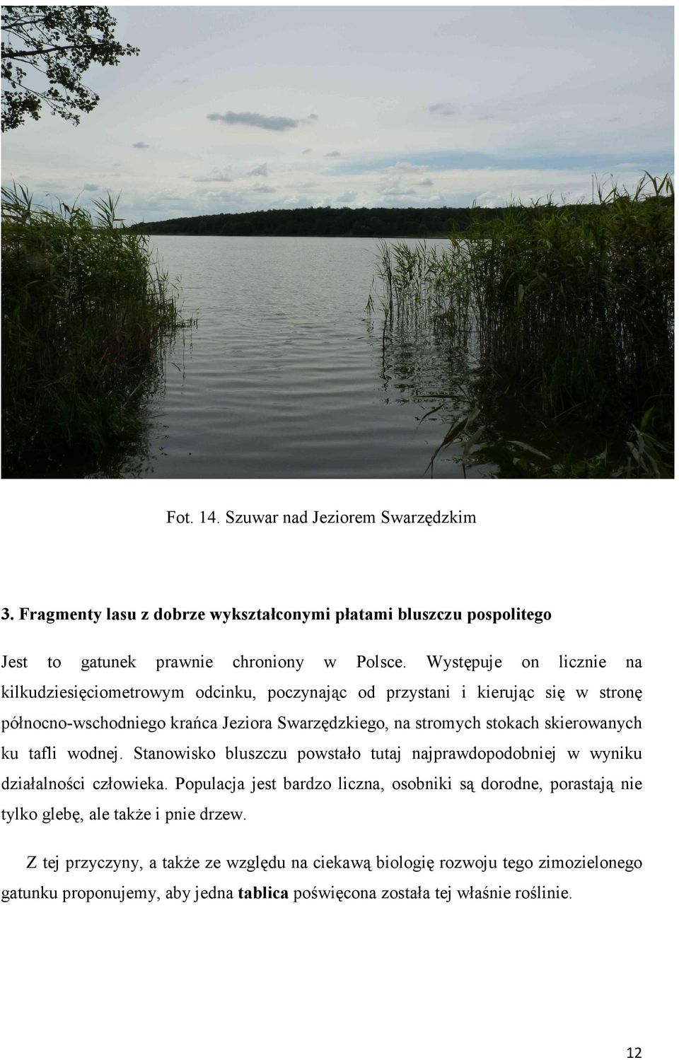 skierowanych ku tafli wodnej. Stanowisko bluszczu powstało tutaj najprawdopodobniej w wyniku działalności człowieka.