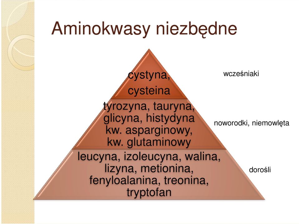 glutaminowy leucyna, izoleucyna, walina, lizyna,