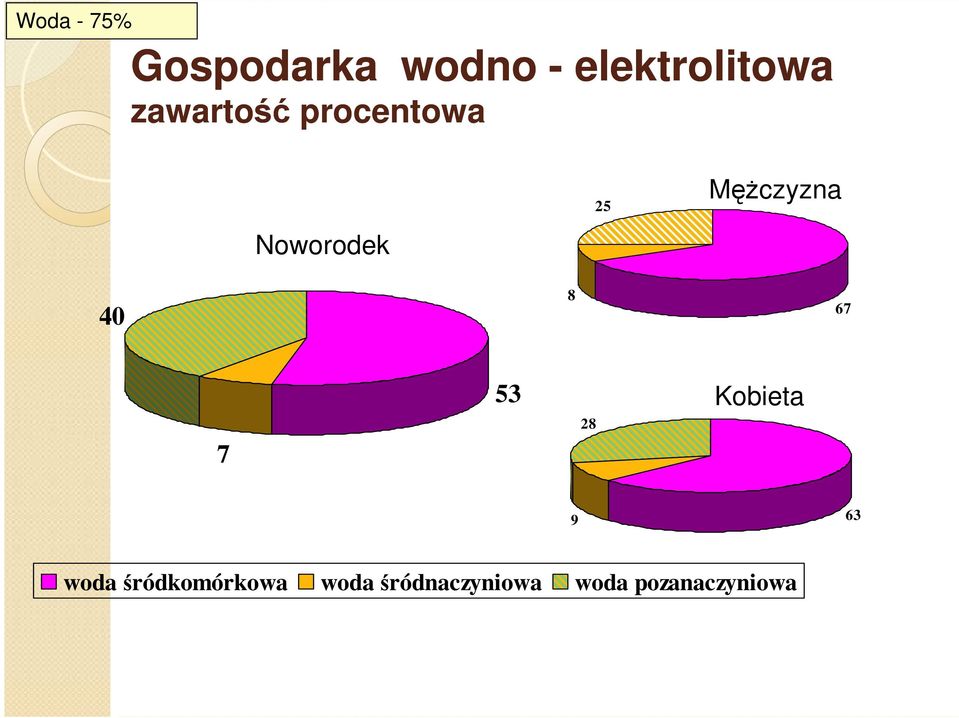 40 8 67 7 53 28 Kobieta 9 63 woda
