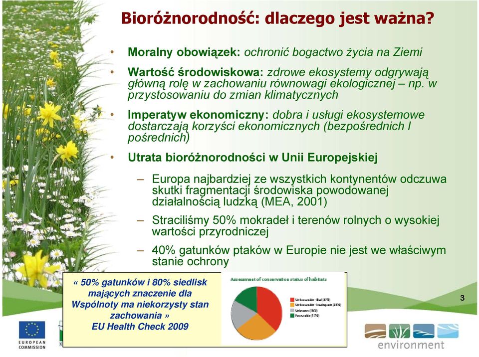 Europejskiej Europa najbardziej ze wszystkich kontynentów odczuwa skutki fragmentacji środowiska powodowanej działalnością ludzką (MEA, 2001) Straciliśmy 50% mokradeł i terenów rolnych o