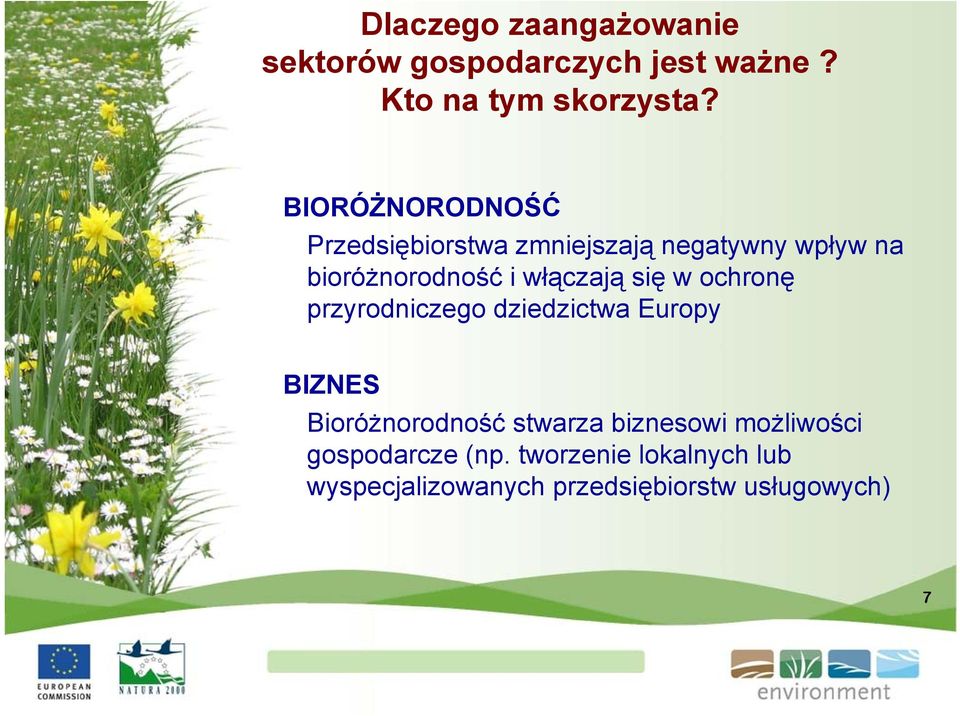 włączają się w ochronę przyrodniczego dziedzictwa Europy BIZNES Bioróżnorodność stwarza