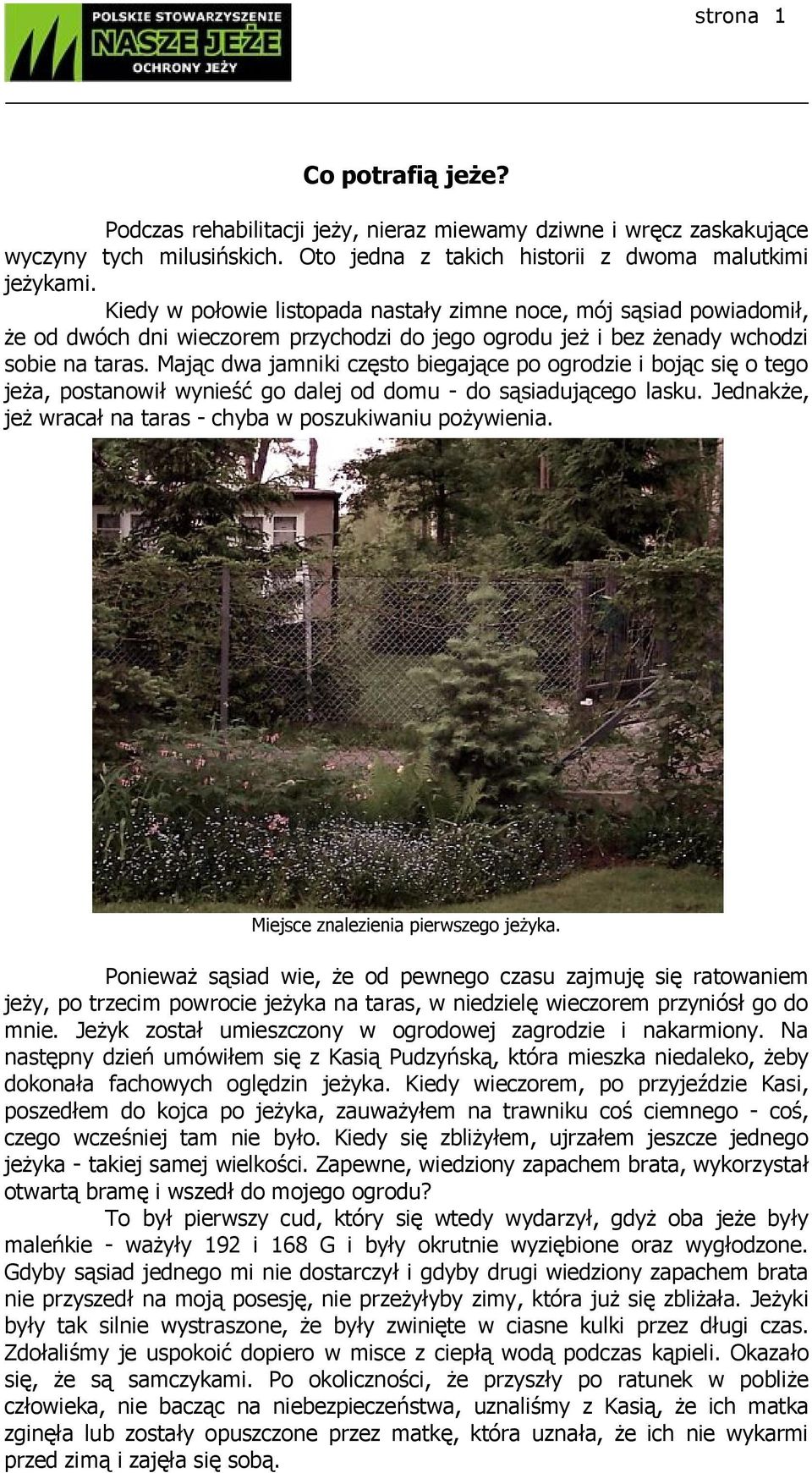 Mając dwa jamniki często biegające po ogrodzie i bojąc się o tego jeża, postanowił wynieść go dalej od domu - do sąsiadującego lasku. Jednakże, jeż wracał na taras - chyba w poszukiwaniu pożywienia.