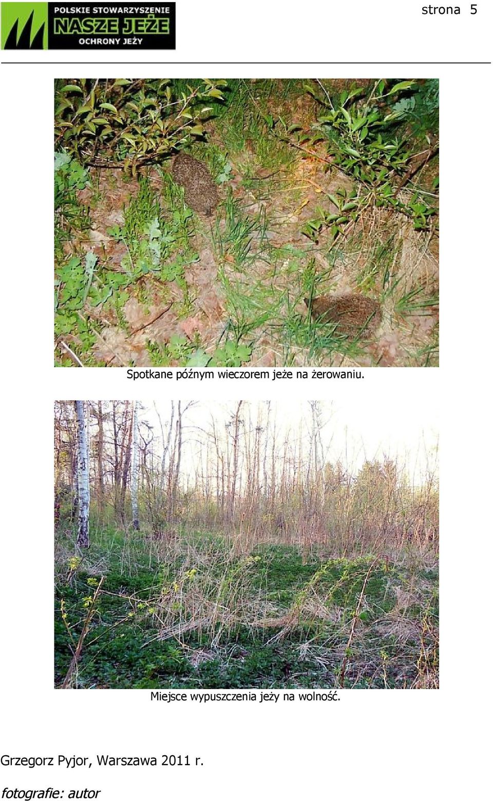 Miejsce wypuszczenia jeży na