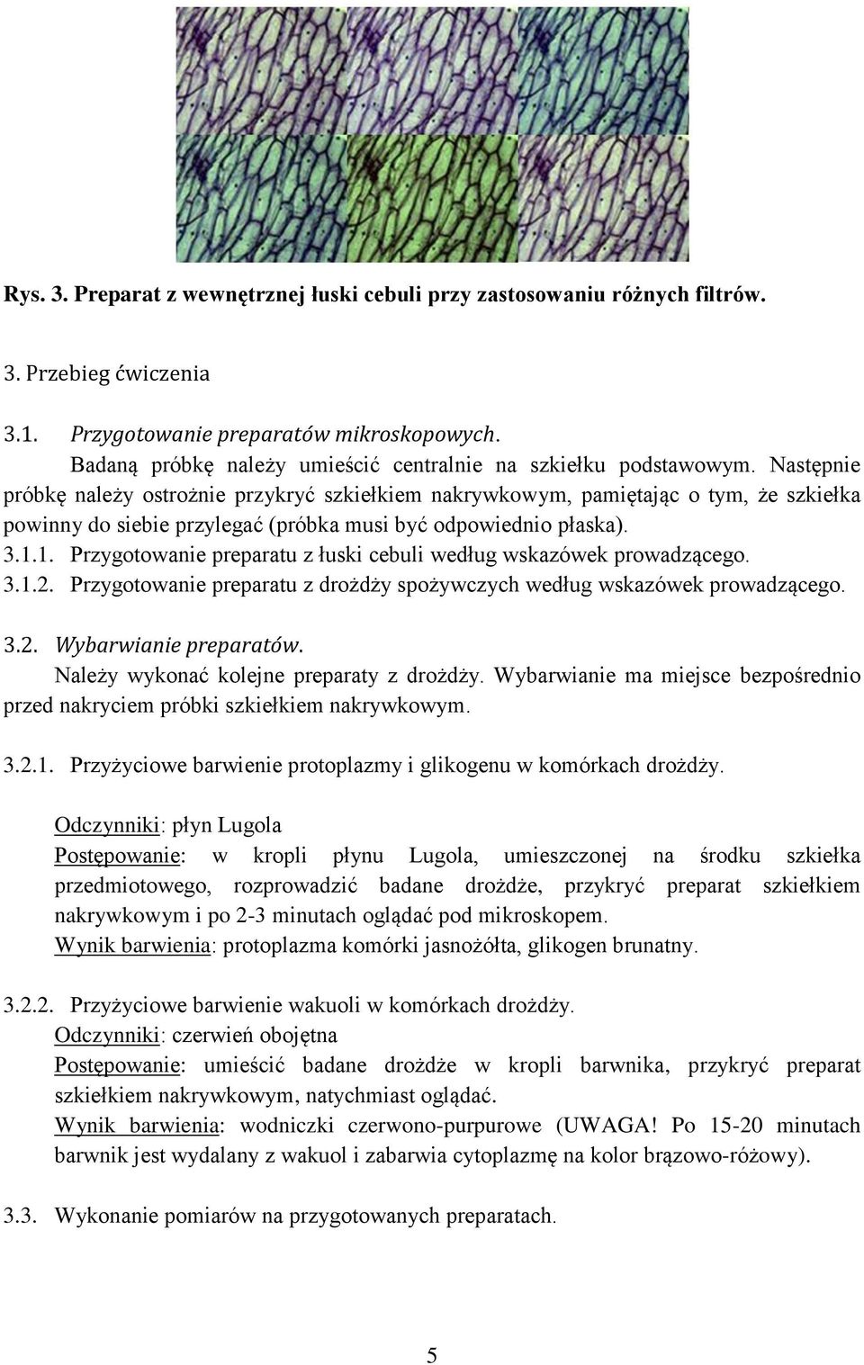 Następnie próbkę należy ostrożnie przykryć szkiełkiem nakrywkowym, pamiętając o tym, że szkiełka powinny do siebie przylegać (próbka musi być odpowiednio płaska). 3.1.