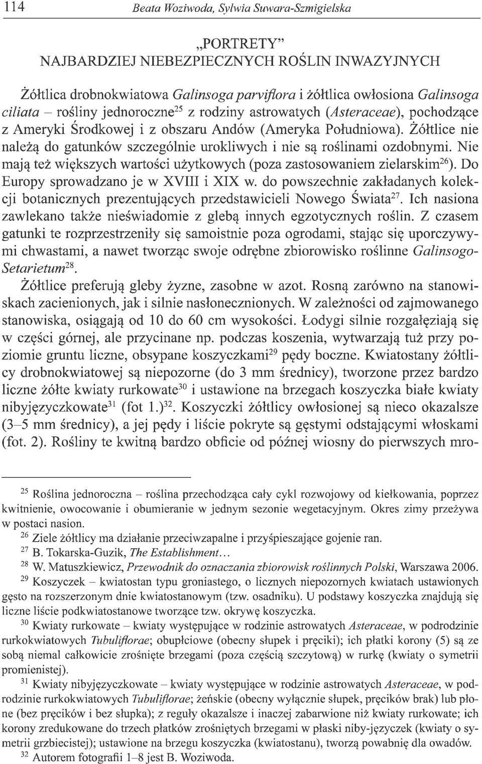 Zółtlice nie należą do gatunków szczególnie urokliwych i nie są roślinami ozdobnymi. Nie mają też większych wartości użytkowych (poza zastosowaniem zielarskim26).