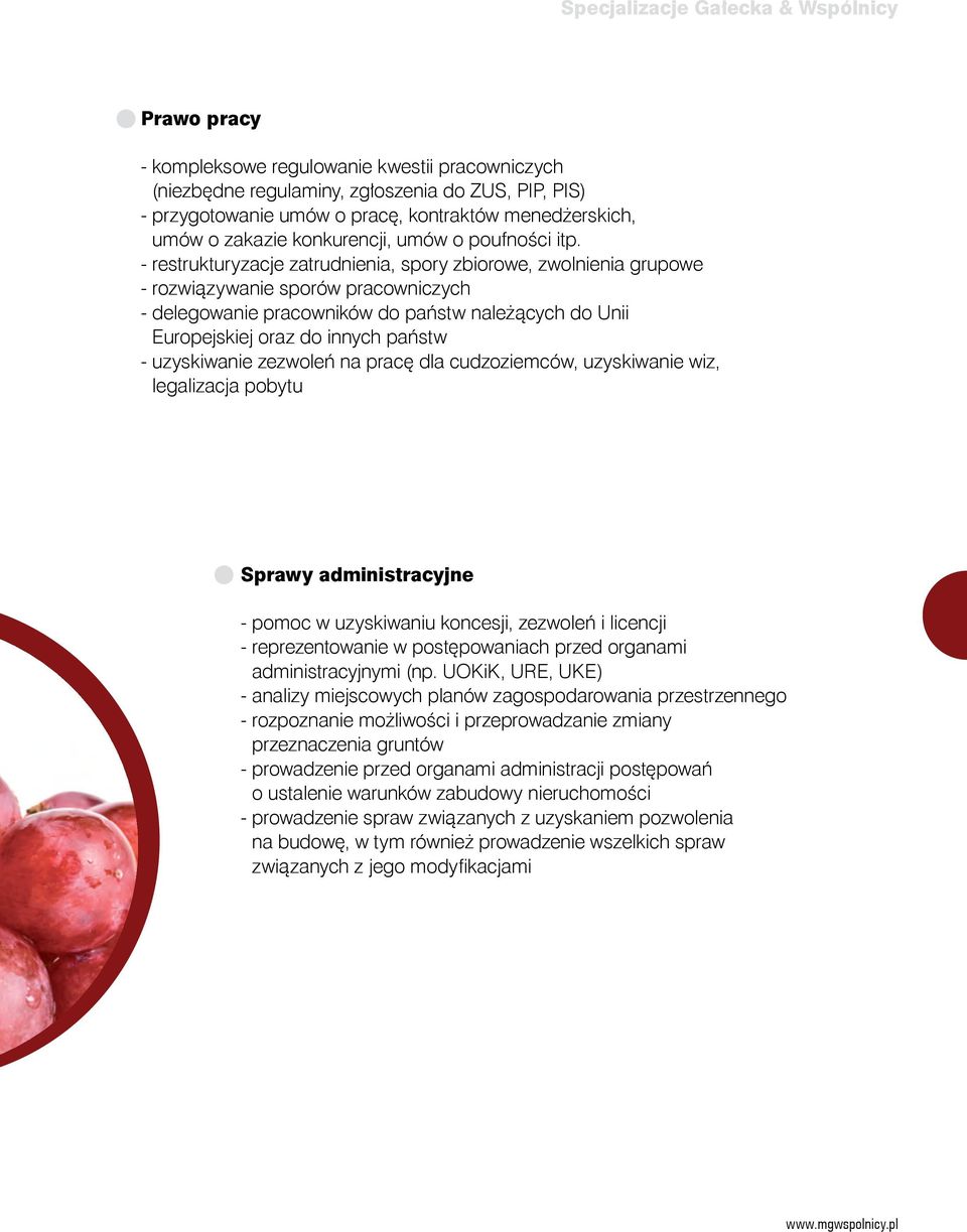 - restrukturyzacje zatrudnienia, spory zbiorowe, zwolnienia grupowe - rozwiązywanie sporów pracowniczych - delegowanie pracowników do państw należących do Unii Europejskiej oraz do innych państw -