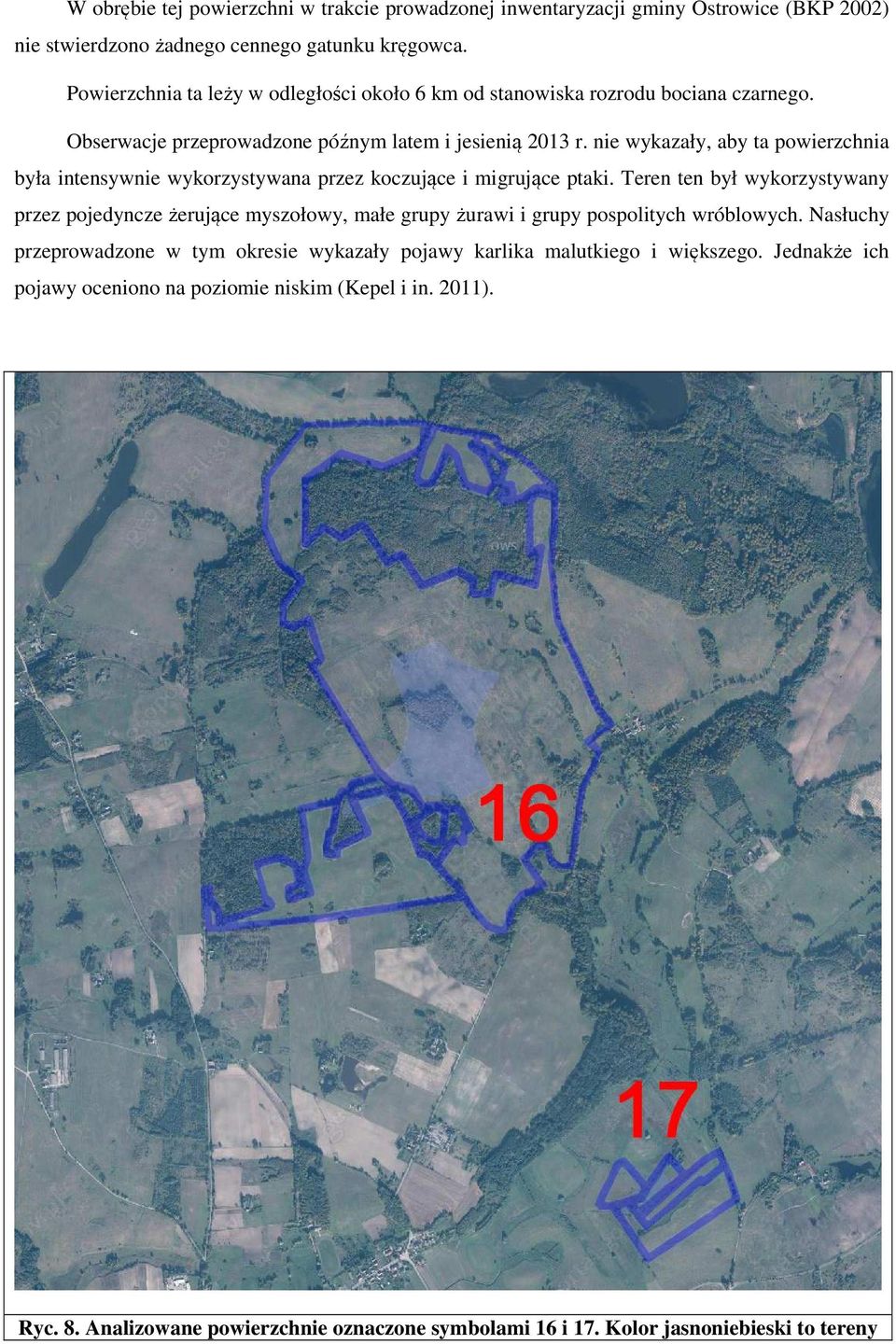 nie wykazały, aby ta powierzchnia przez pojedyncze żerujące myszołowy, małe grupy żurawi i grupy pospolitych wróblowych.