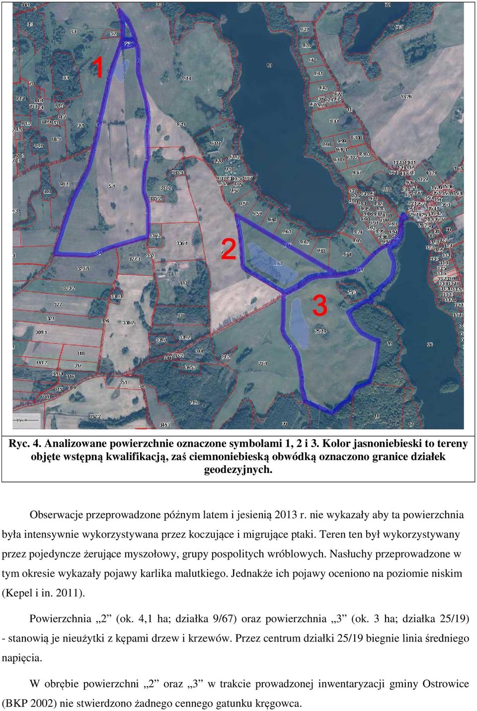 tym okresie wykazały pojawy karlika malutkiego. Jednakże ich pojawy oceniono na poziomie niskim (Kepel i in. 2011). Powierzchnia 2 (ok.