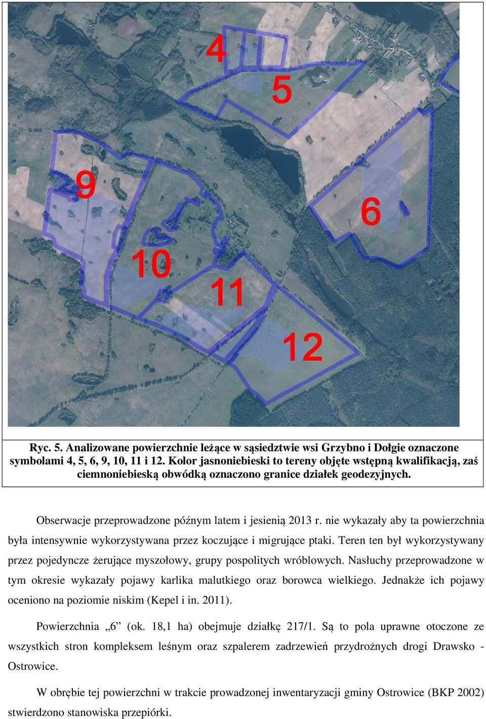 tym okresie wykazały pojawy karlika malutkiego oraz borowca wielkiego. Jednakże ich pojawy oceniono na poziomie niskim (Kepel i in. 2011).