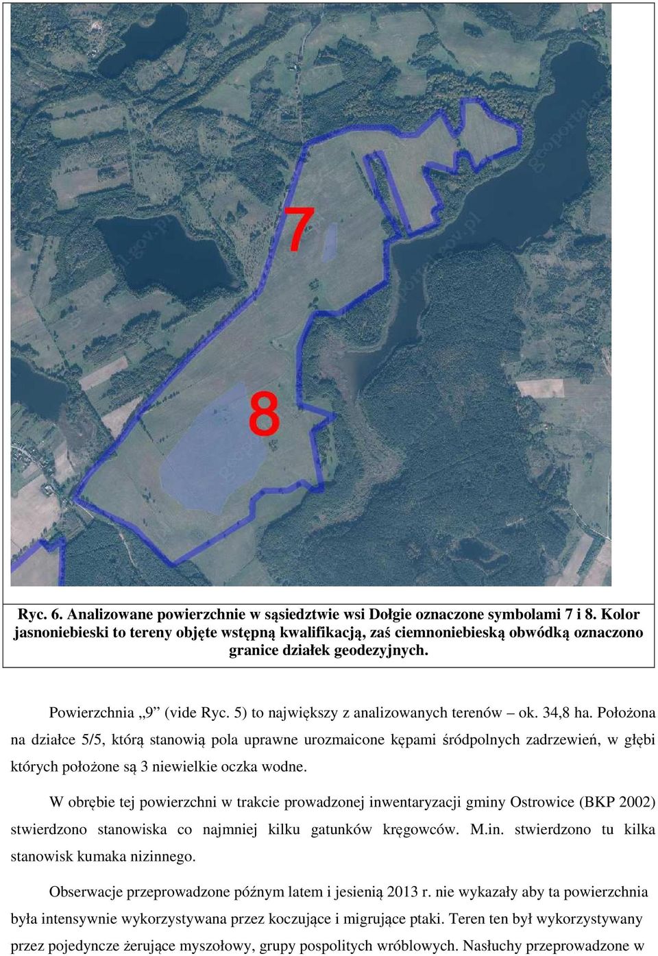 Powierzchnia 9 (vide Ryc. 5) to największy z analizowanych terenów ok. 34,8 ha.