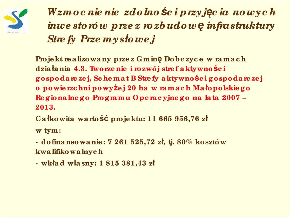 Tworzenie i rozwój stref aktywności gospodarczej, Schemat B Strefy aktywności gospodarczej o powierzchni powyżej 20 ha w ramach