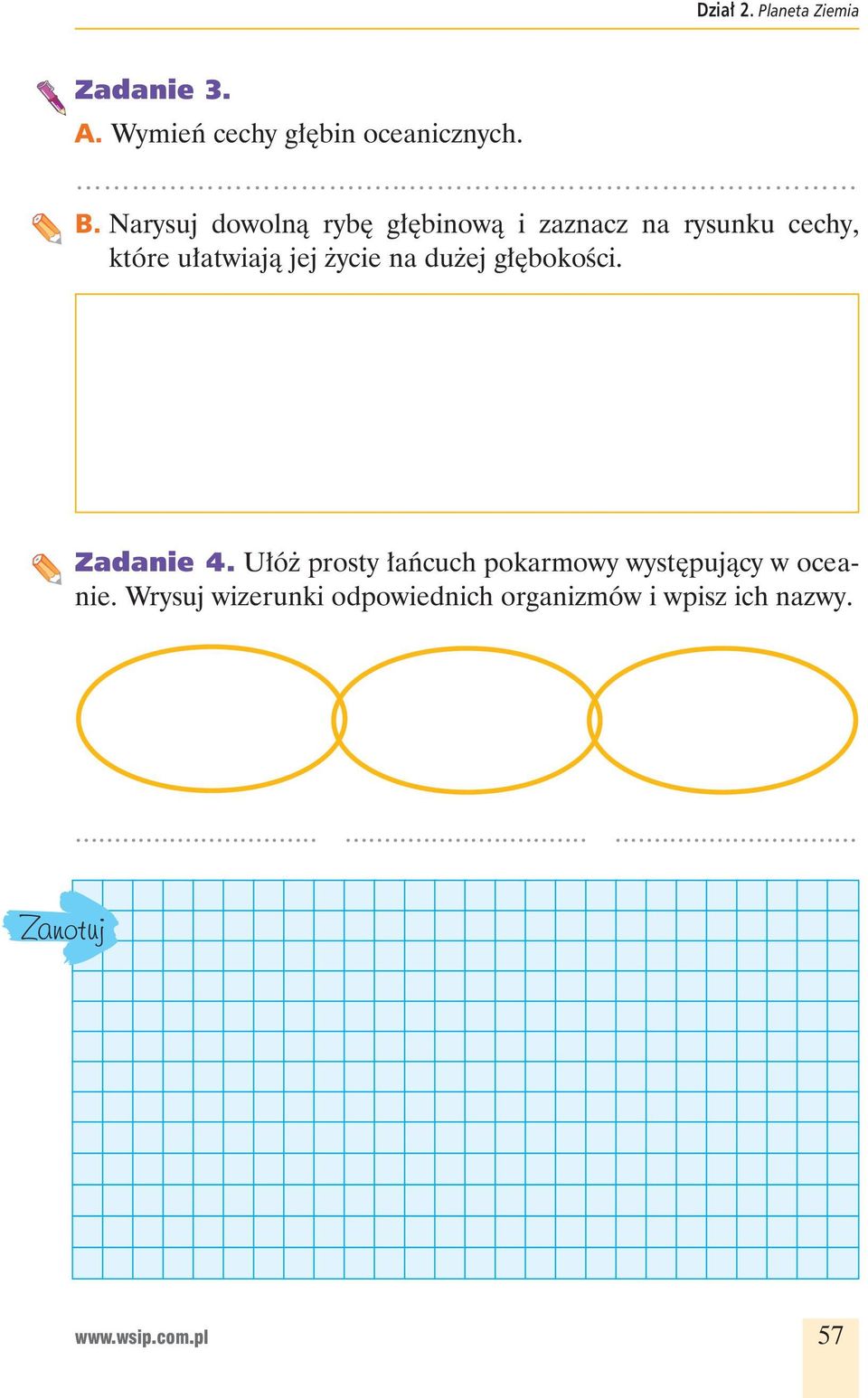 życie na dużej głębokości. Zadanie 4.