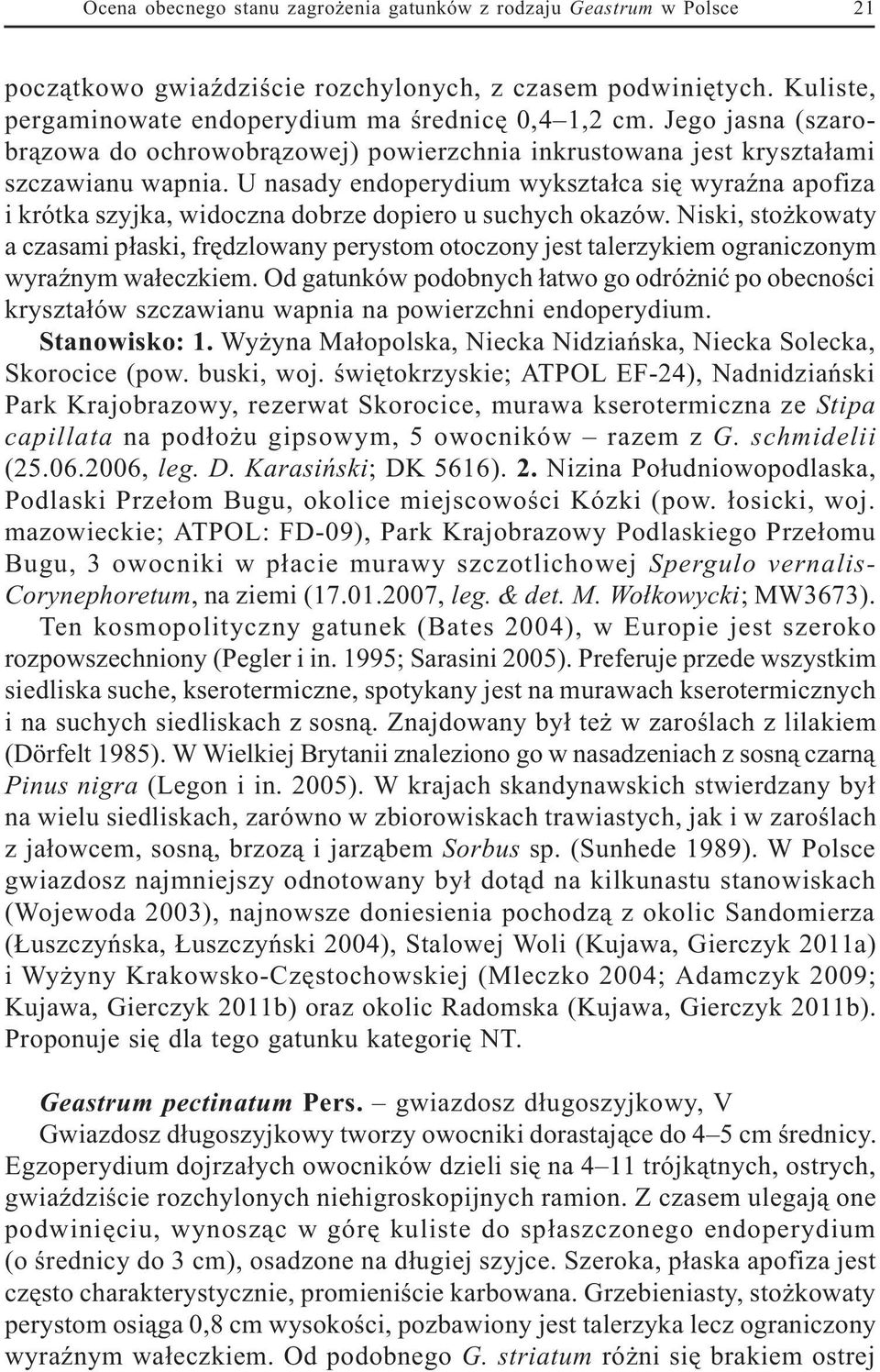 U nasady endoperydium wykszta³ca siê wyraÿna apofiza i krótka szyjka, widoczna dobrze dopiero u suchych okazów.