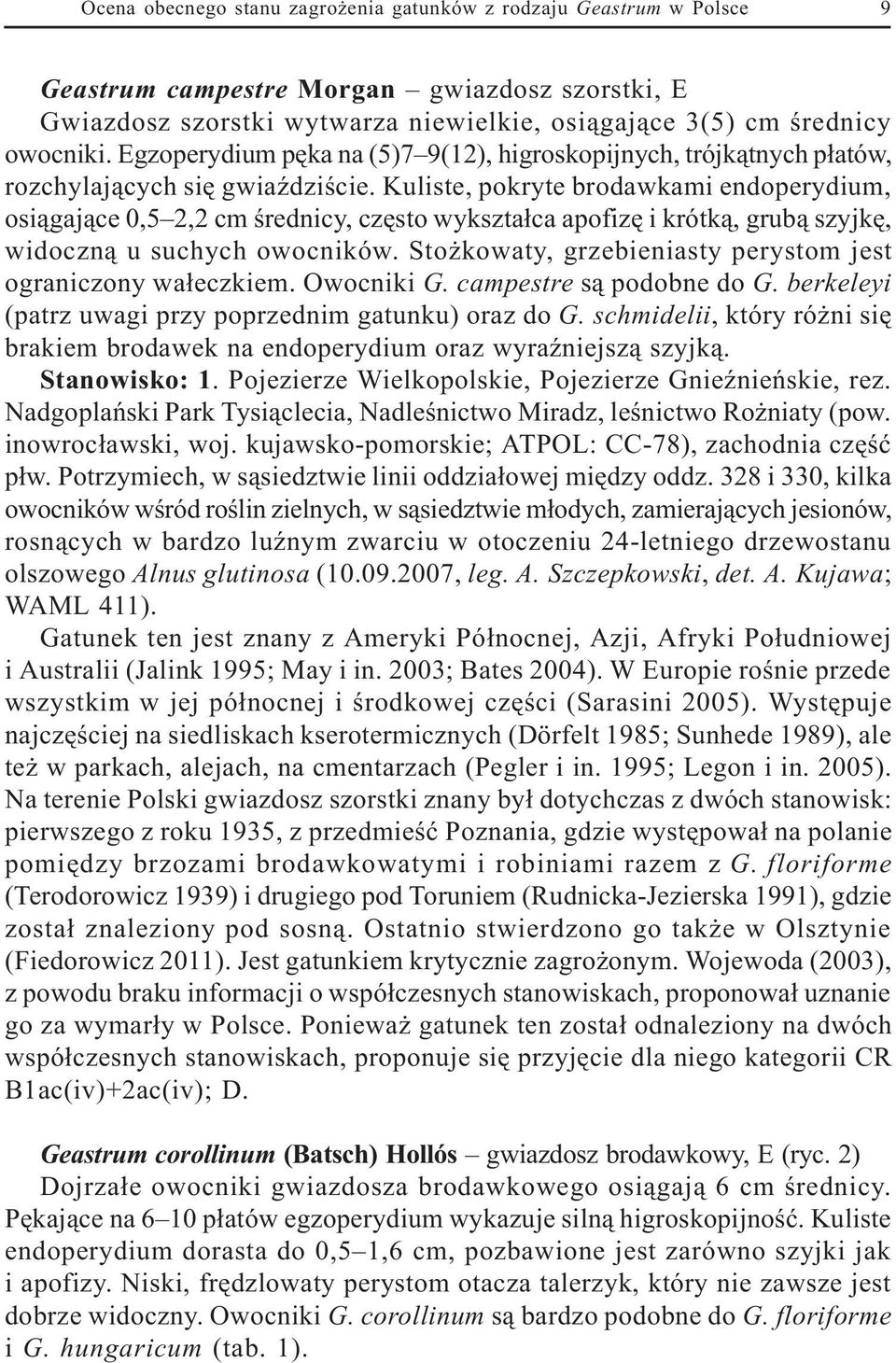 Kuliste, pokryte brodawkami endoperydium, osi¹gaj¹ce 0,5 2,2 cm œrednicy, czêsto wykszta³ca apofizê i krótk¹, grub¹ szyjkê, widoczn¹ u suchych owocników.