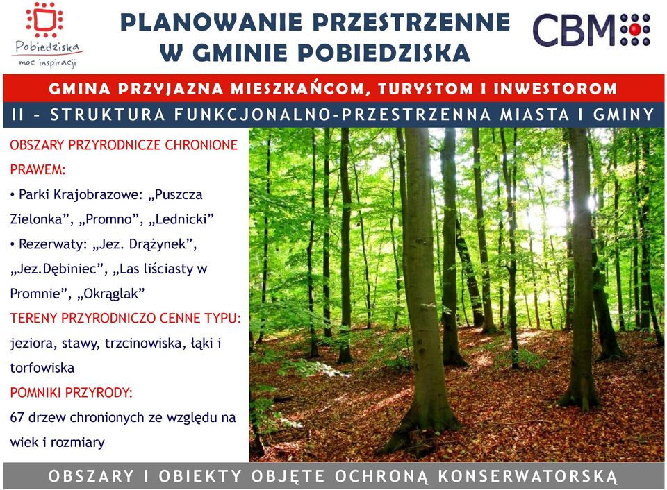 Dębiniec, Las liściasty w Promnie, Okrąglak TERENY PRZYRODNICZO CENNE TYPU: jeziora, stawy, trzcinowiska, łąki i