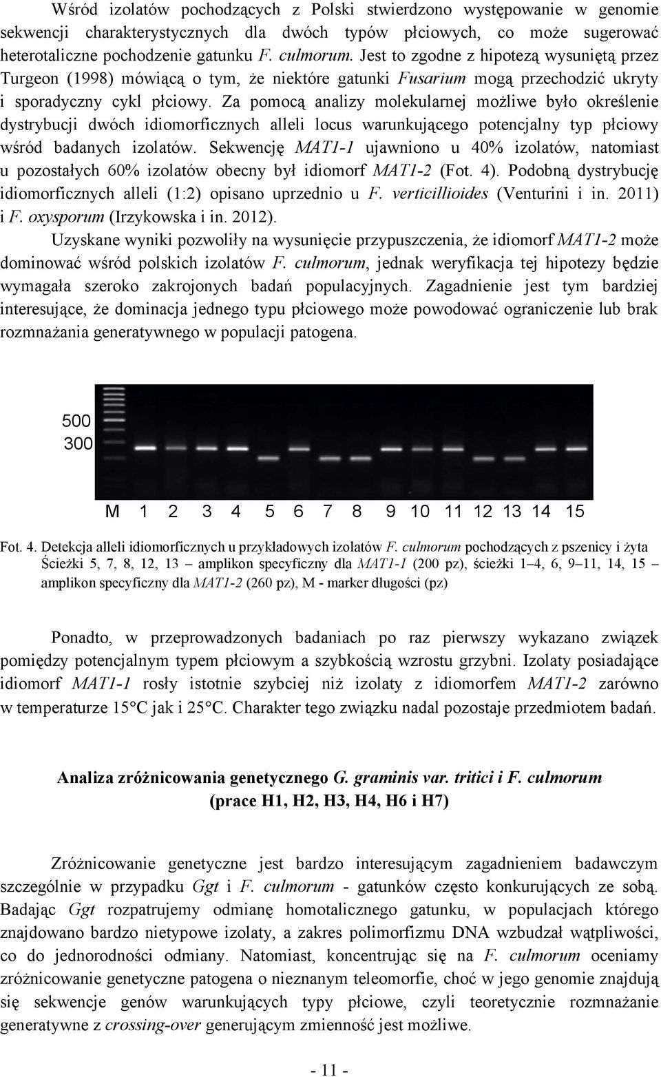 Za pomocą analizy molekularnej możliwe było określenie dystrybucji dwóch idiomorficznych alleli locus warunkującego potencjalny typ płciowy wśród badanych izolatów.