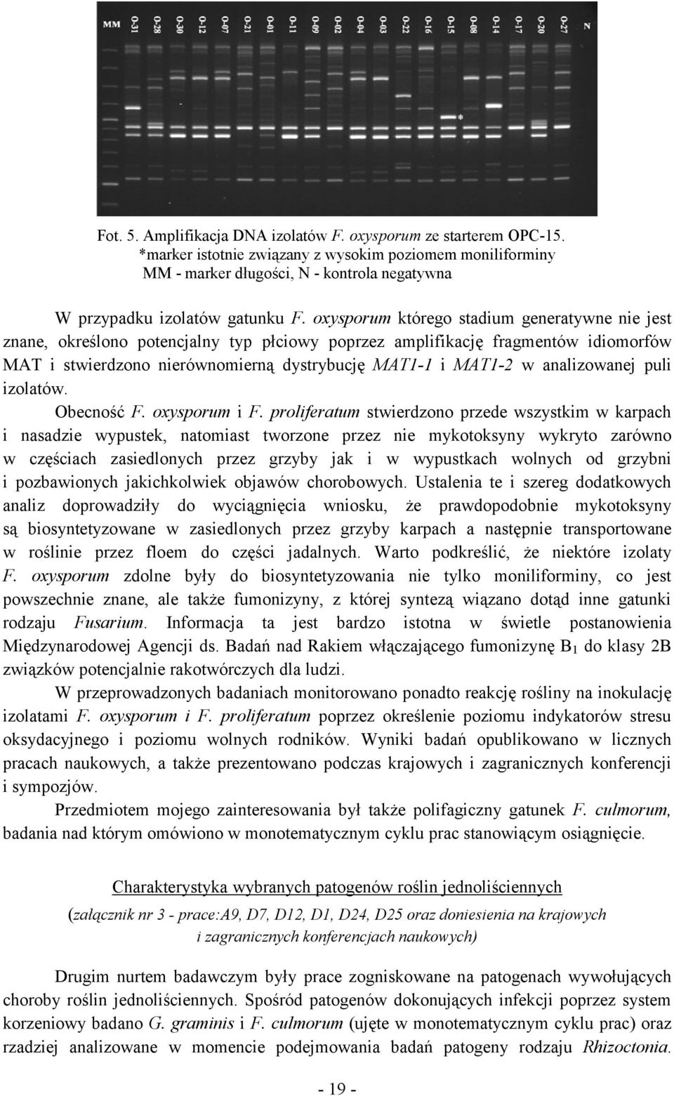 oxysporum którego stadium generatywne nie jest znane, określono potencjalny typ płciowy poprzez amplifikację fragmentów idiomorfów MAT i stwierdzono nierównomierną dystrybucję MAT1-1 i MAT1-2 w