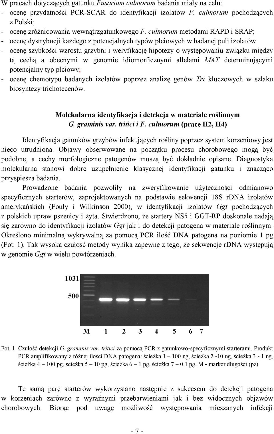 culmorum metodami RAPD i SRAP; - ocenę dystrybucji każdego z potencjalnych typów płciowych w badanej puli izolatów - ocenę szybkości wzrostu grzybni i weryfikację hipotezy o występowaniu związku