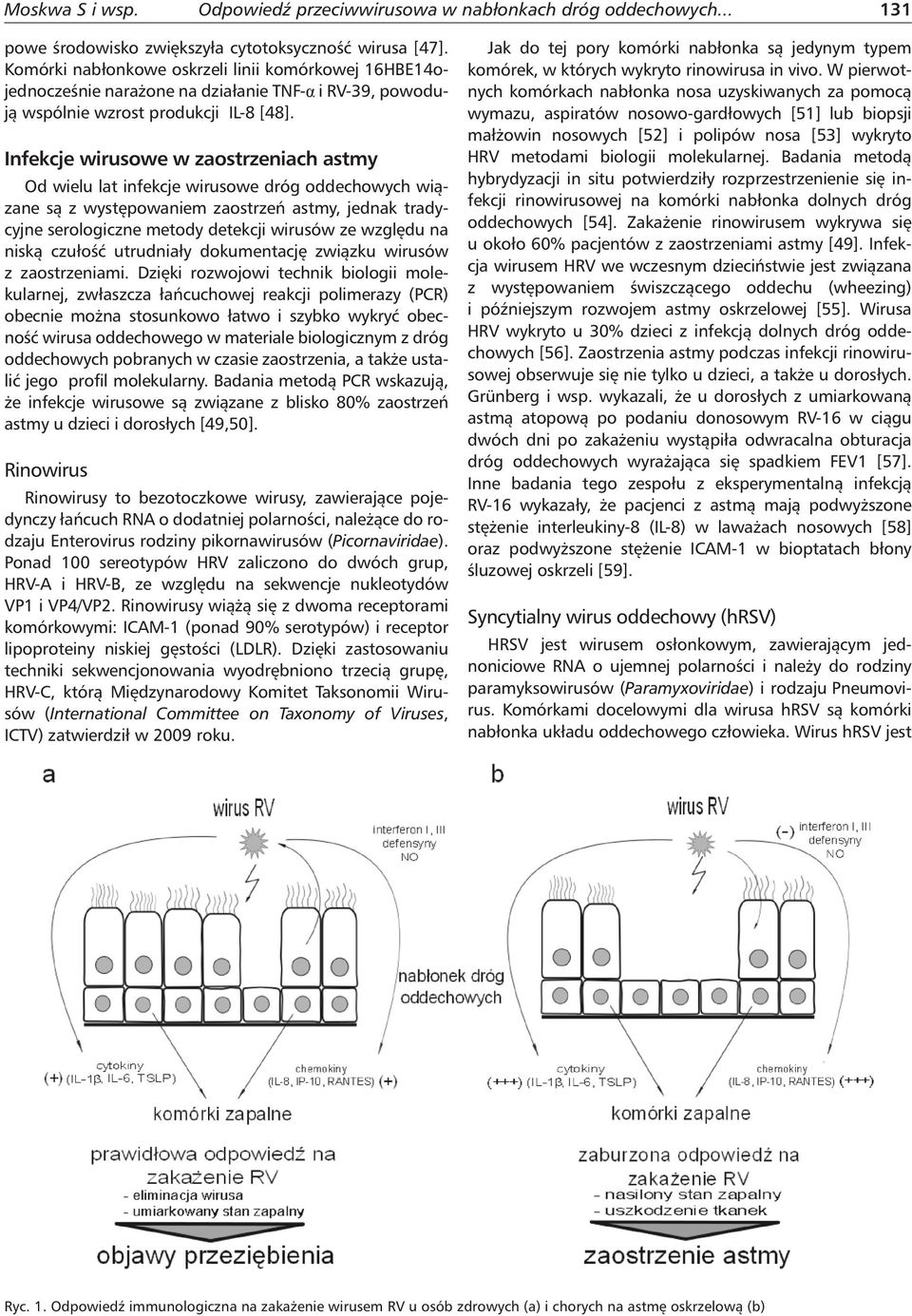 Infekcje wirusowe w zaostrzeniach astmy Od wielu lat infekcje wirusowe dróg oddechowych wiązane są z występowaniem zaostrzeń astmy, jednak tradycyjne serologiczne metody detekcji wirusów ze względu