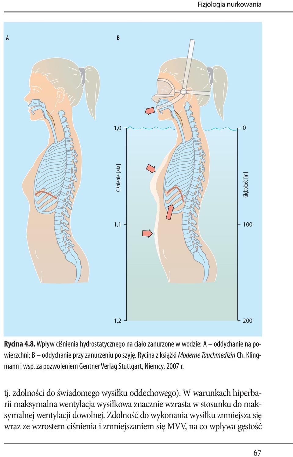 Rycina z książki Moderne Tauchmedizin Ch. Klingmann i wsp. za pozwoleniem Gentner Verlag Stuttgart, Niemcy, 2007 r. tj.