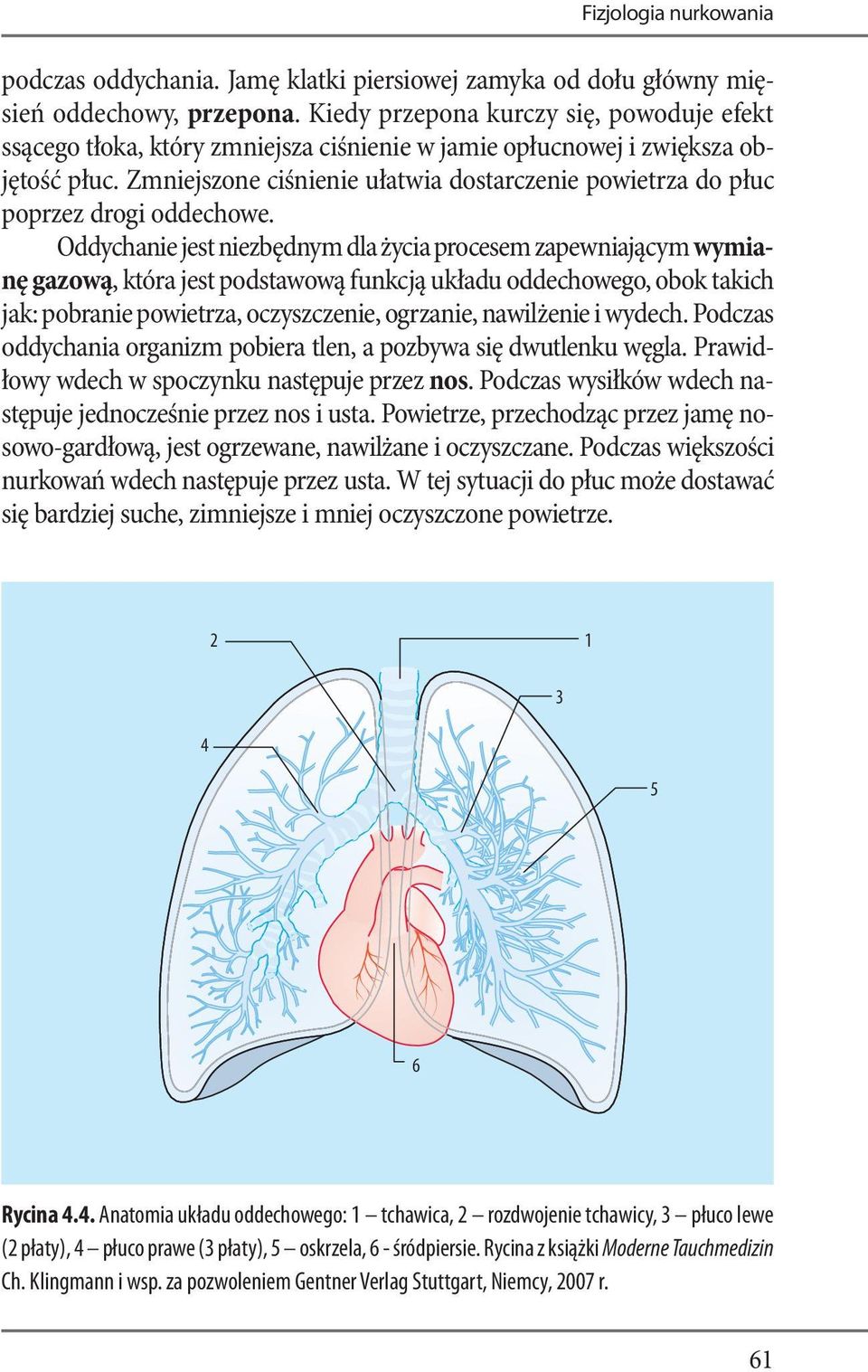 Zmniejszone ciśnienie ułatwia dostarczenie powietrza do płuc poprzez drogi oddechowe.