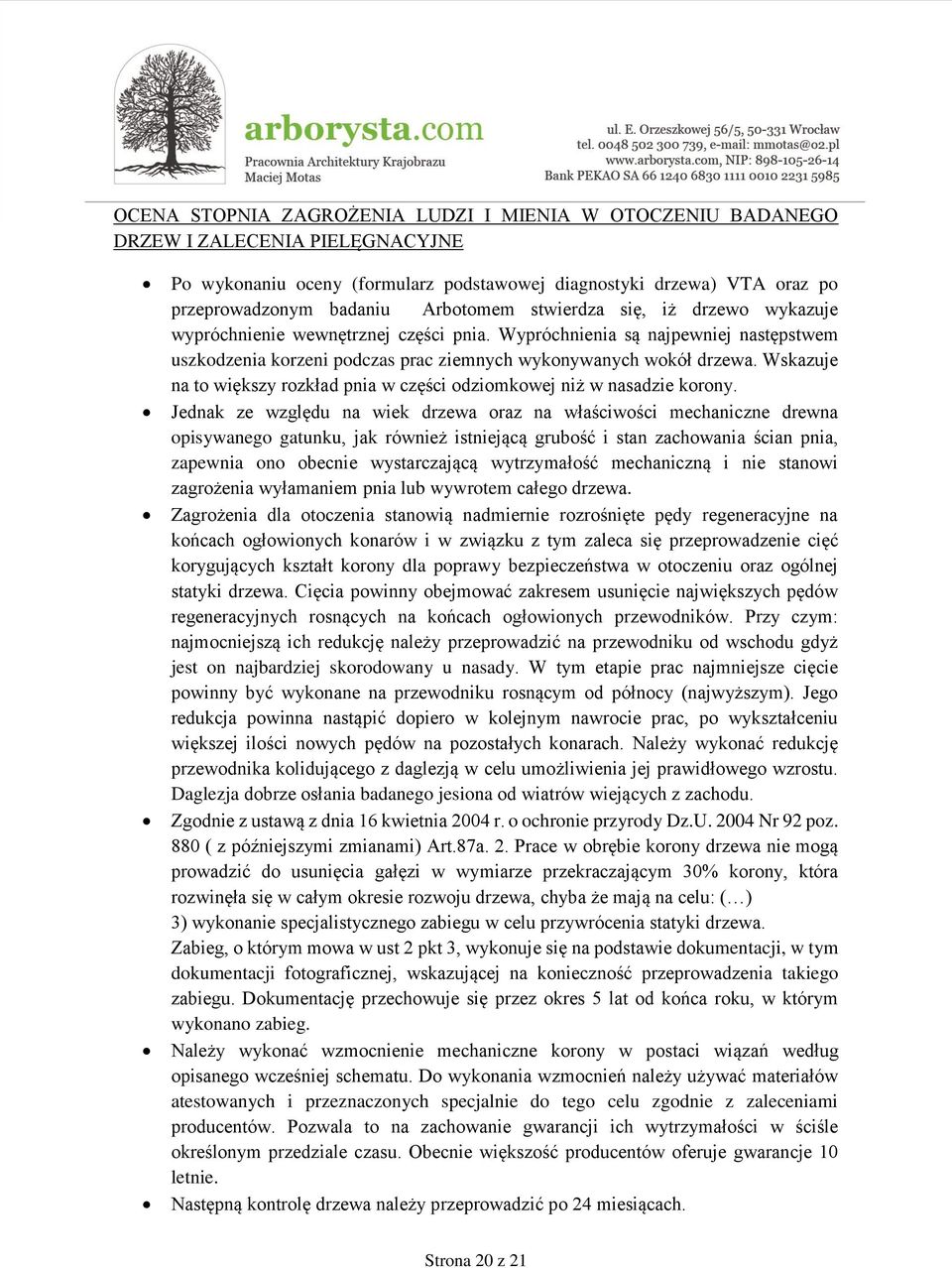 Wskazuje na to większy rozkład pnia w części odziomkowej niż w nasadzie korony.